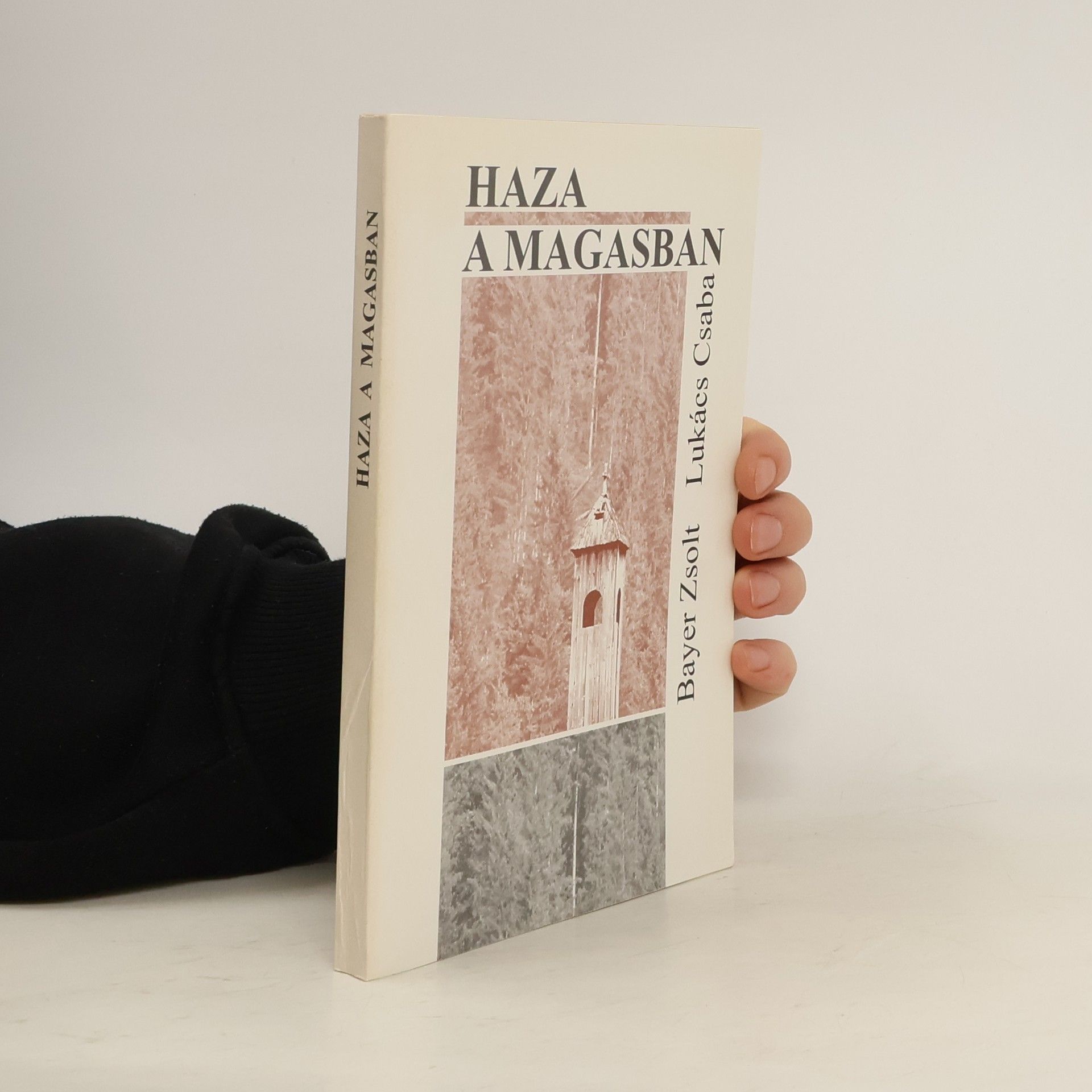 Zsolt Bayer Haza a magasban