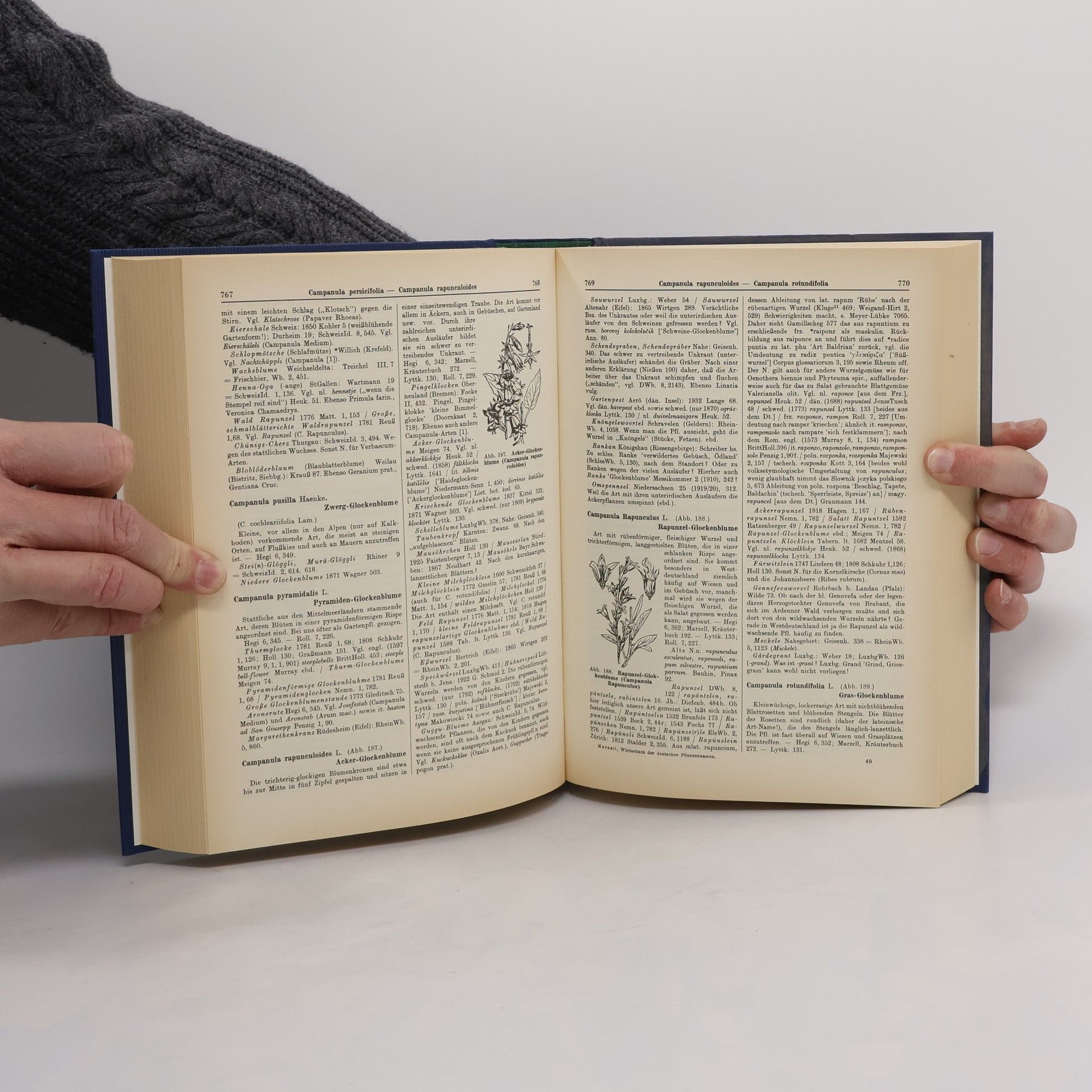 Collectif d'auteurs Wörterbuch der deutschen Pflanzennamen