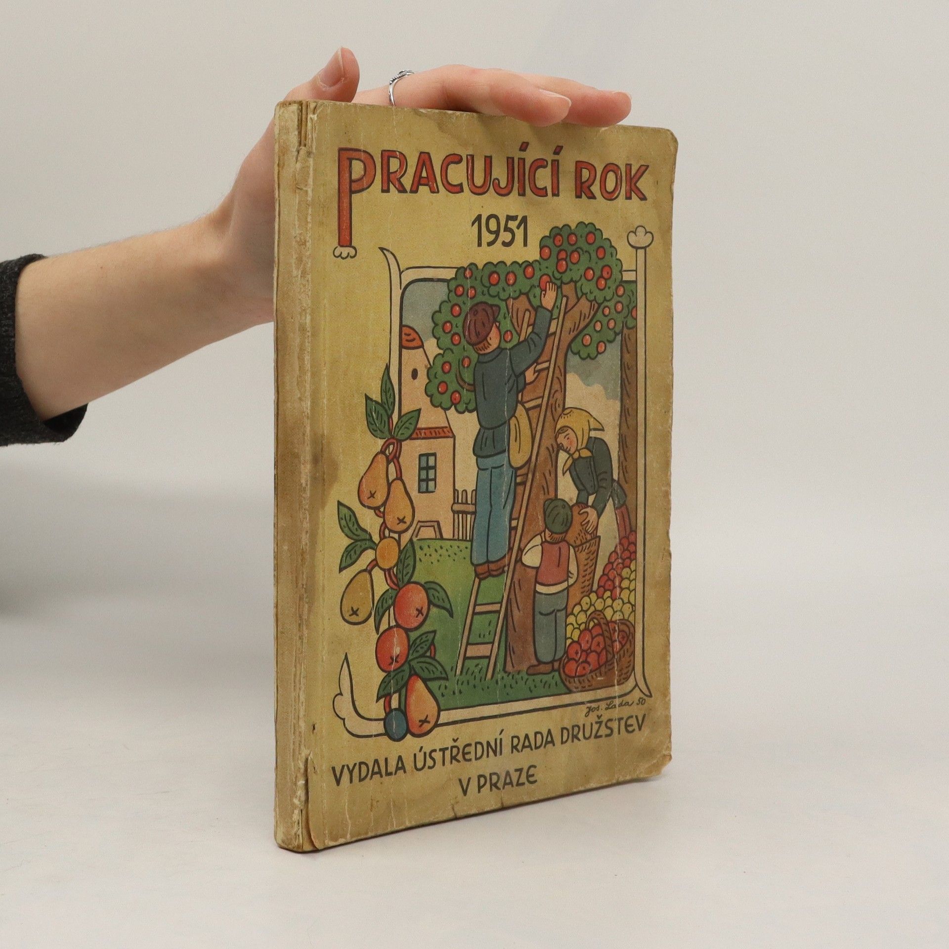 Kolektív autorov Pracující rok 1951
