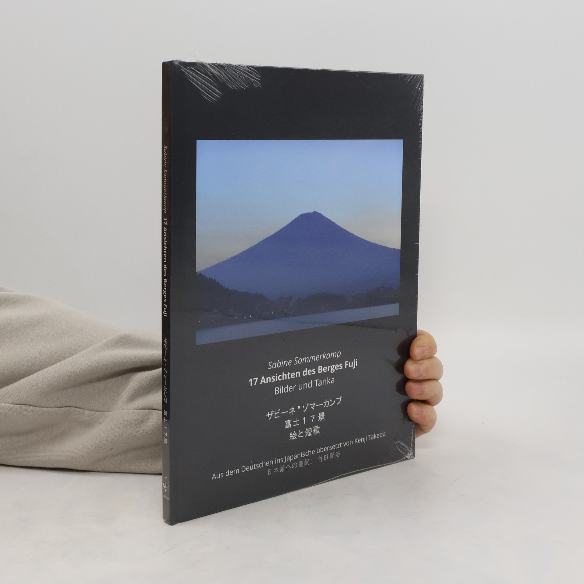 Sabine Sommerkamp 17 Ansichten des Berges Fuji