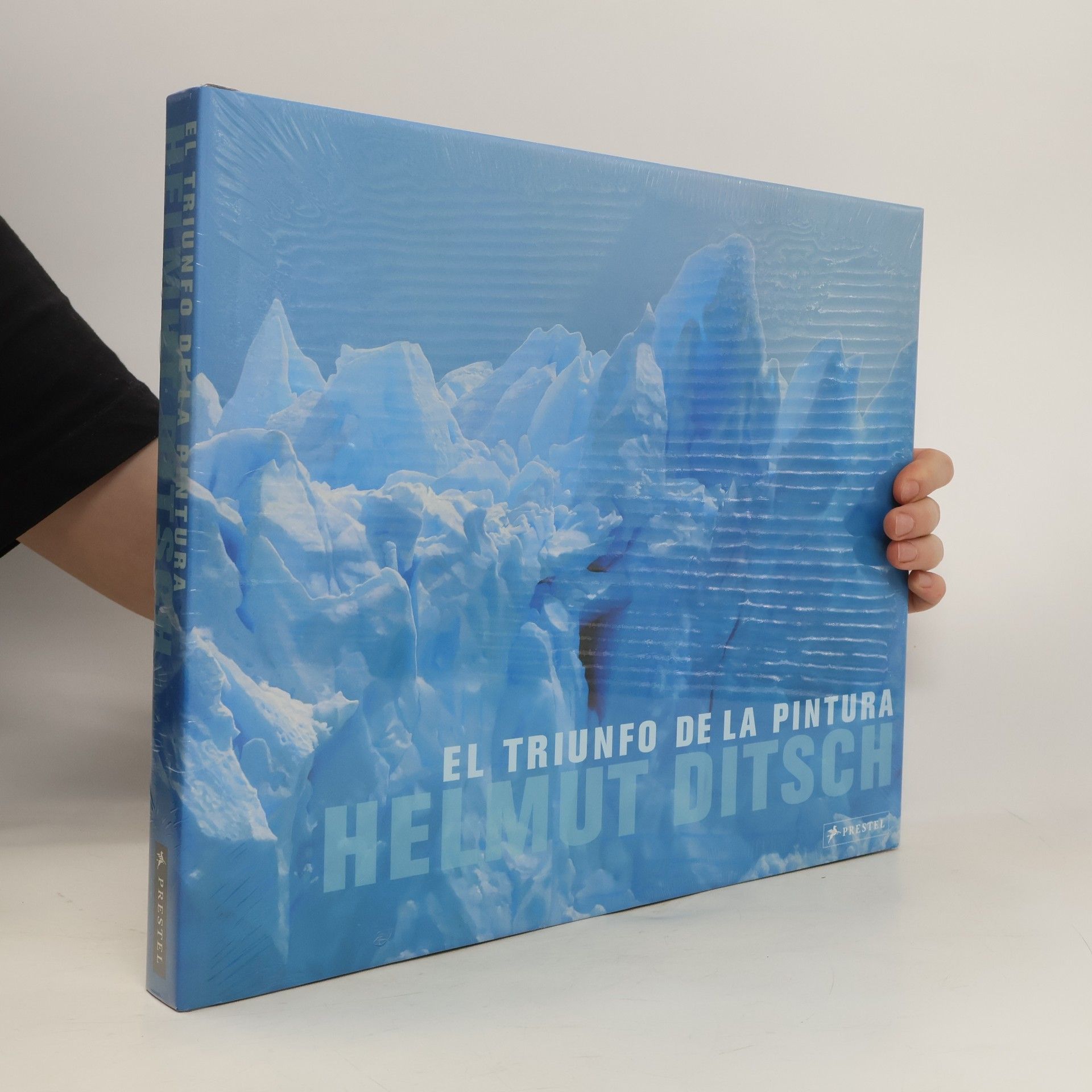 Helmut Ditsch Triumph der Malerei