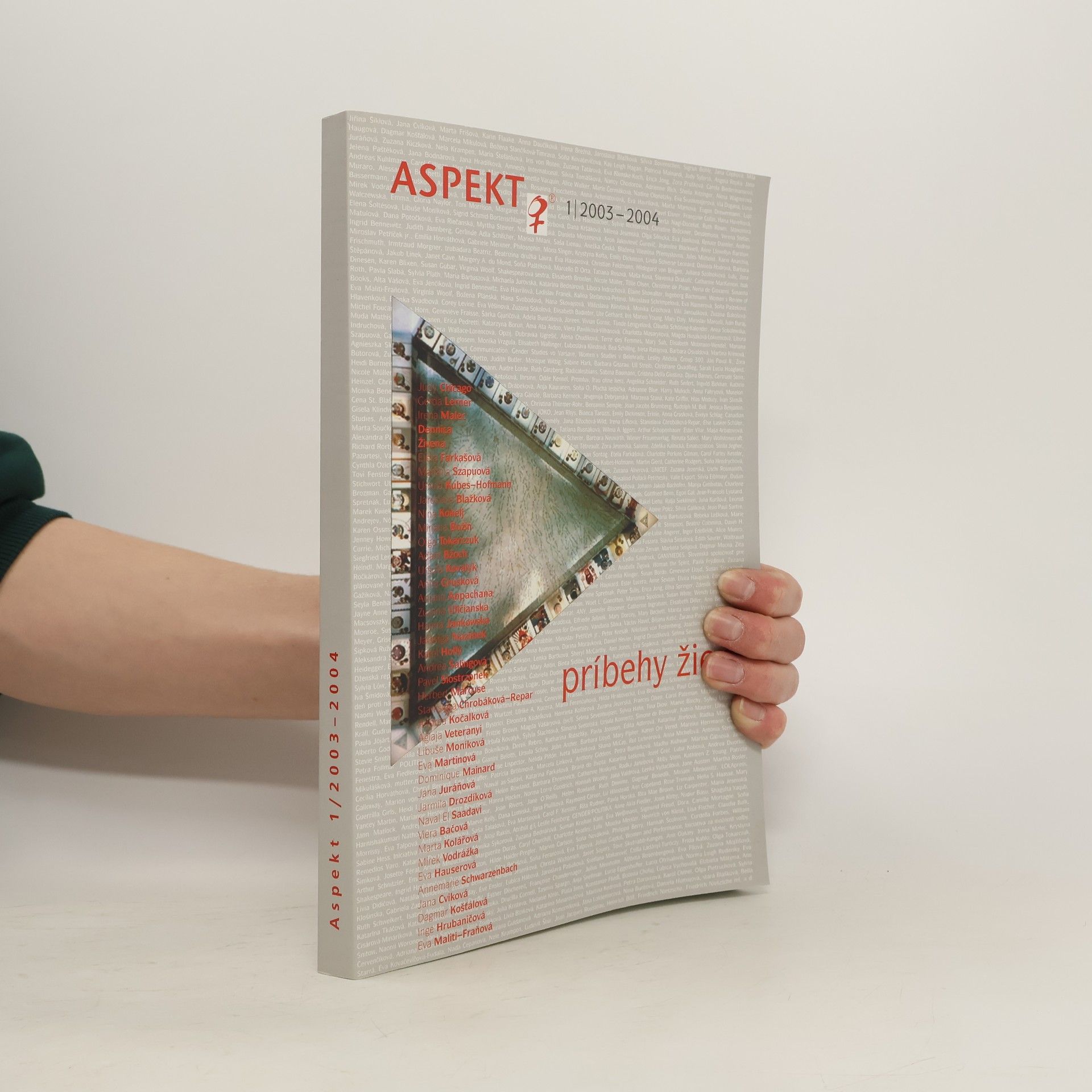 Kolektív autorov Aspekt. Príbehy žien 1 2003/2004