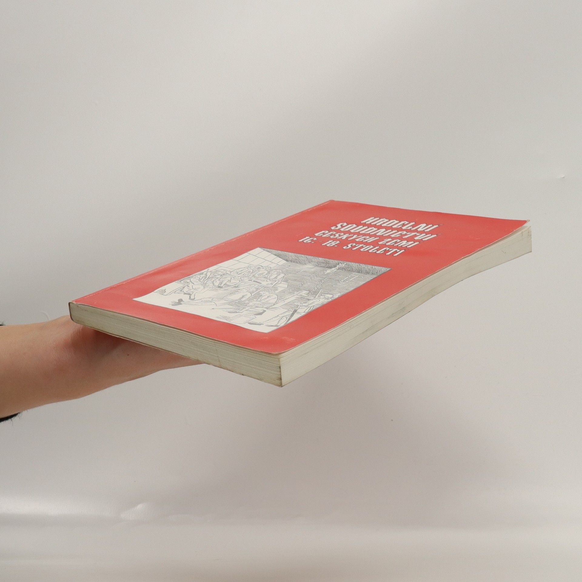 Collectif d'auteurs Hrdelní soudnictví českých zemí v 16.-18. století