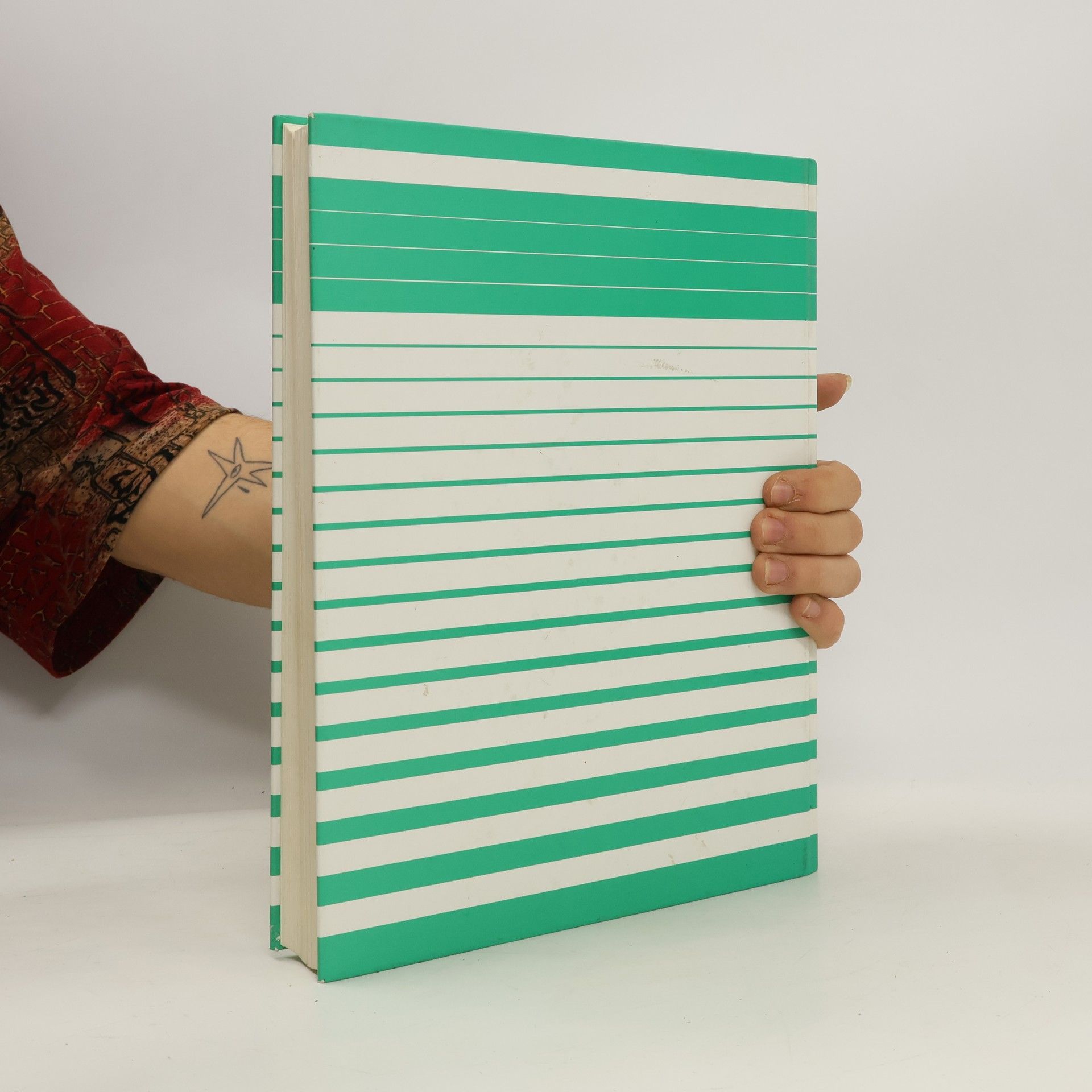 Georg Salden Das Stulle-Buch zum Vergleichen, Auswählen, Erkennen und Finden von Schriften