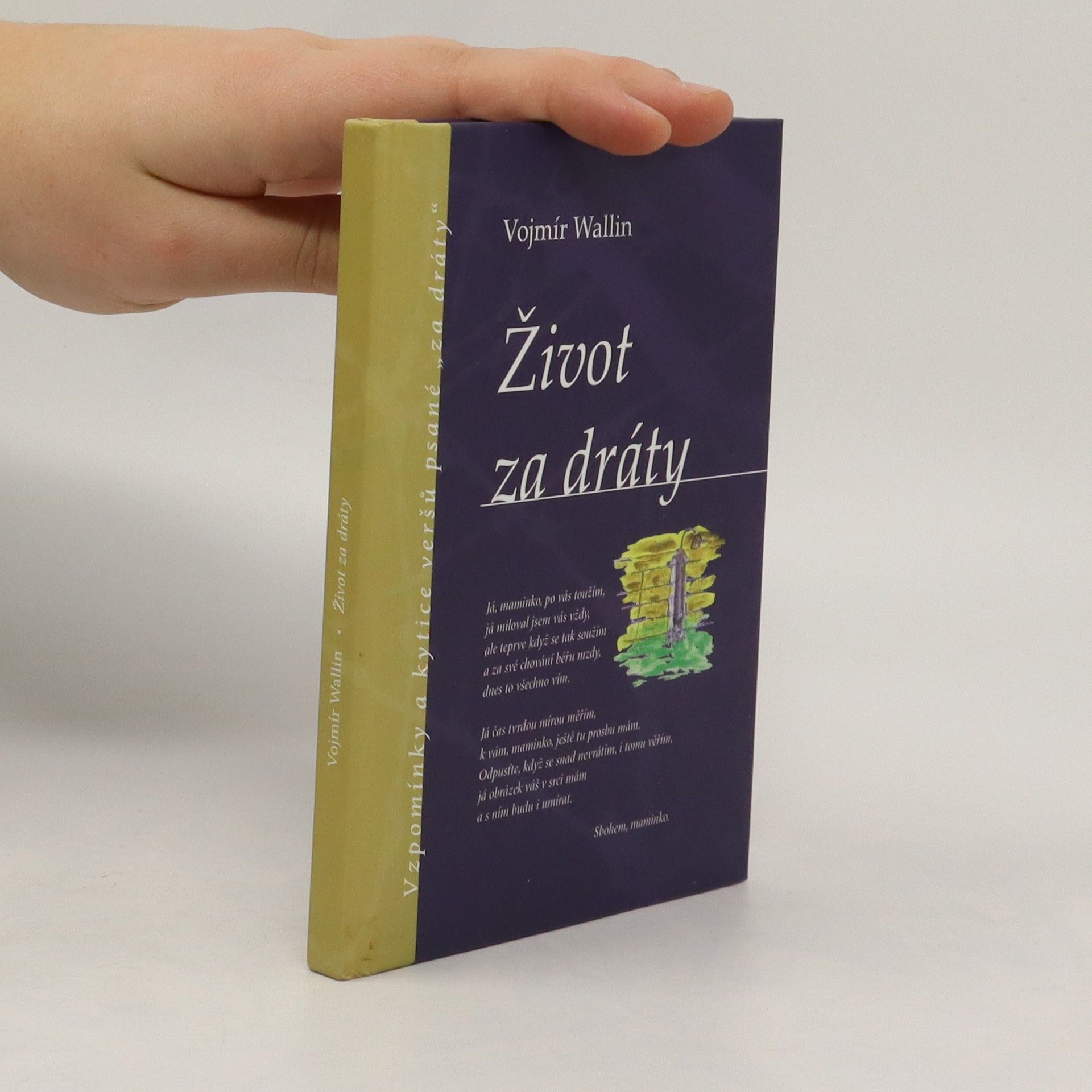Vojmír Wallin Život za dráty