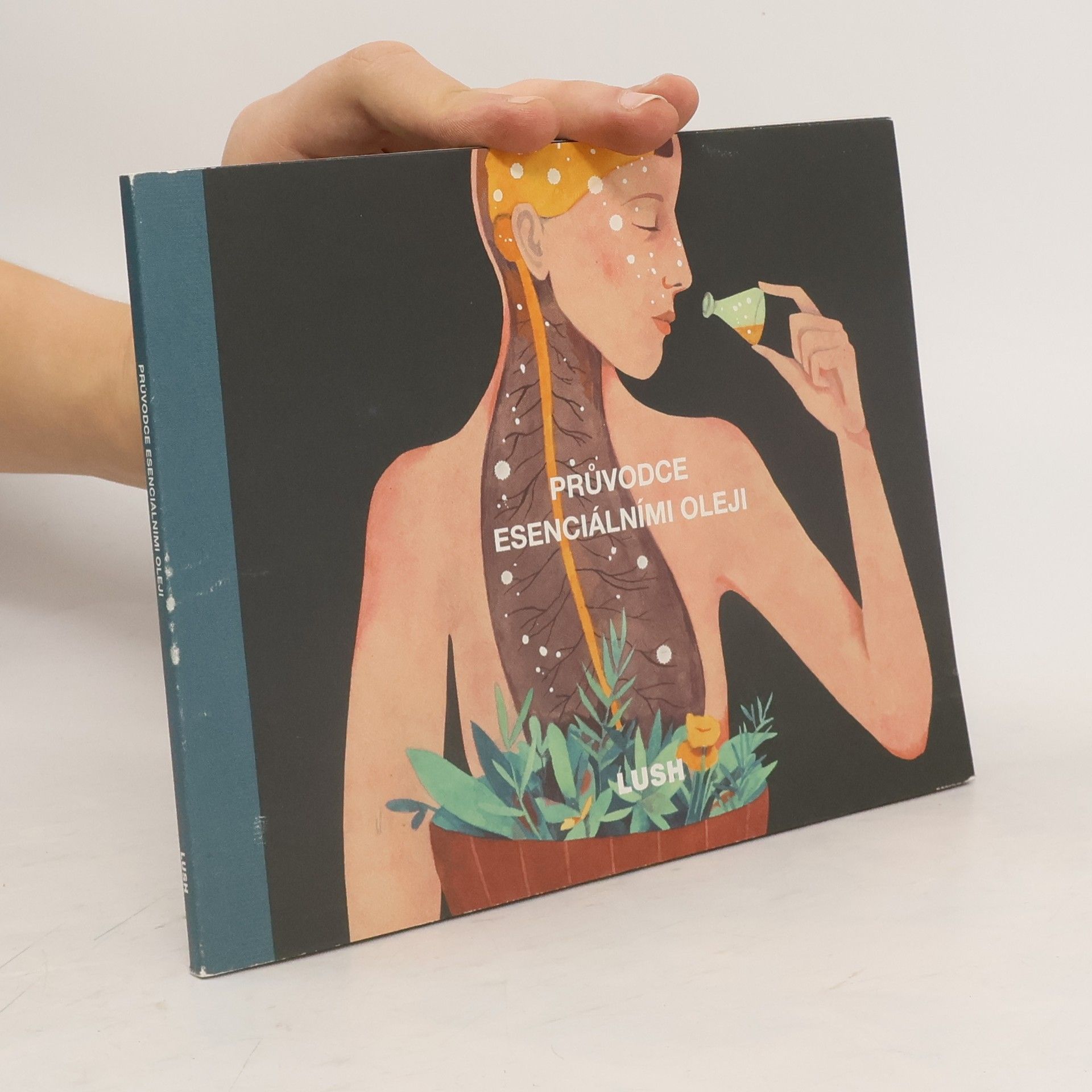 Auteurscollectief Průvodce esenciálními oleji
