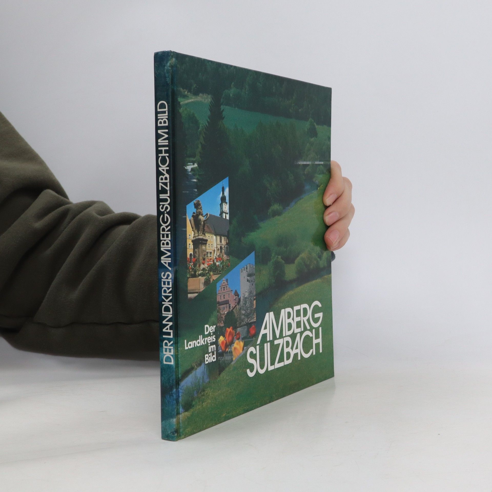 Autores varios Der Landkreis im Bild. Amberg-Sulzbach