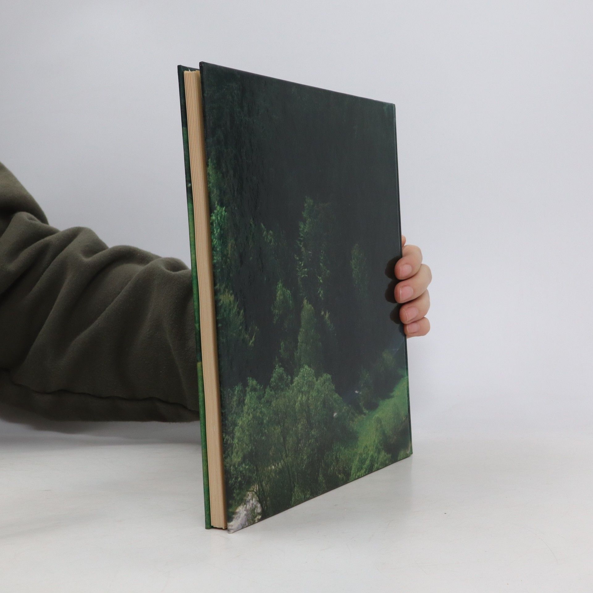 Autores varios Der Landkreis im Bild. Amberg-Sulzbach