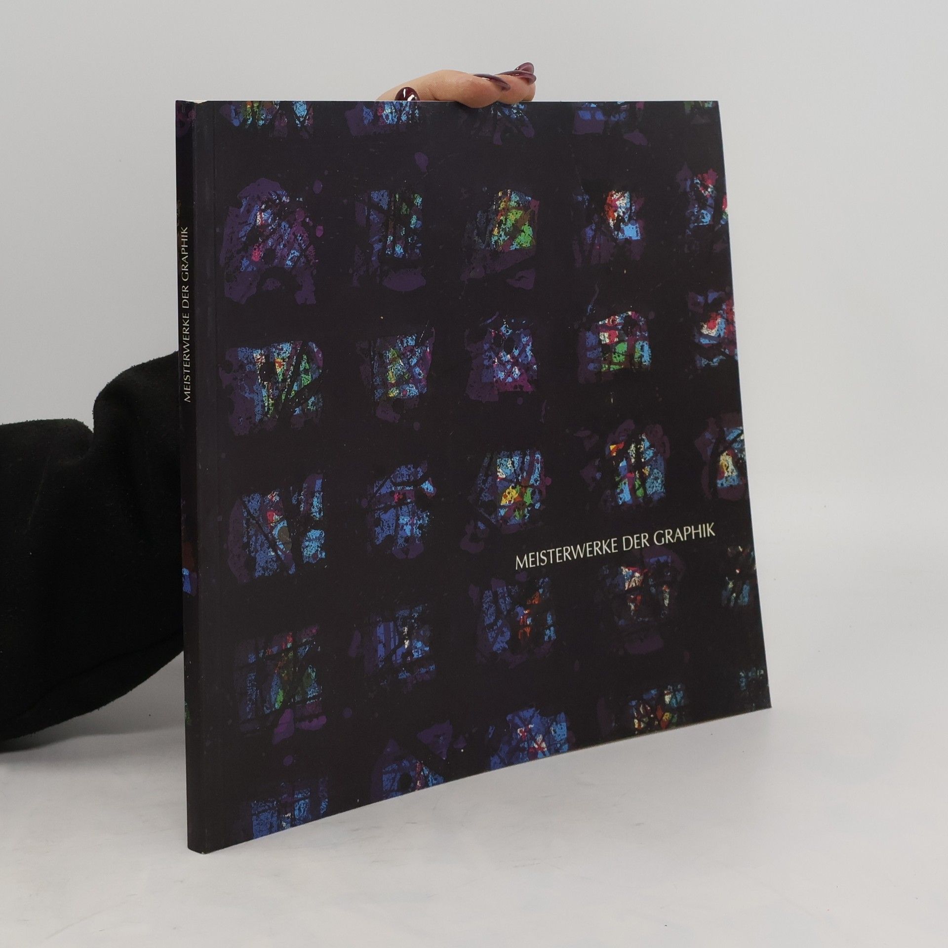 Autorenkollektiv Meisterwerke der Graphic