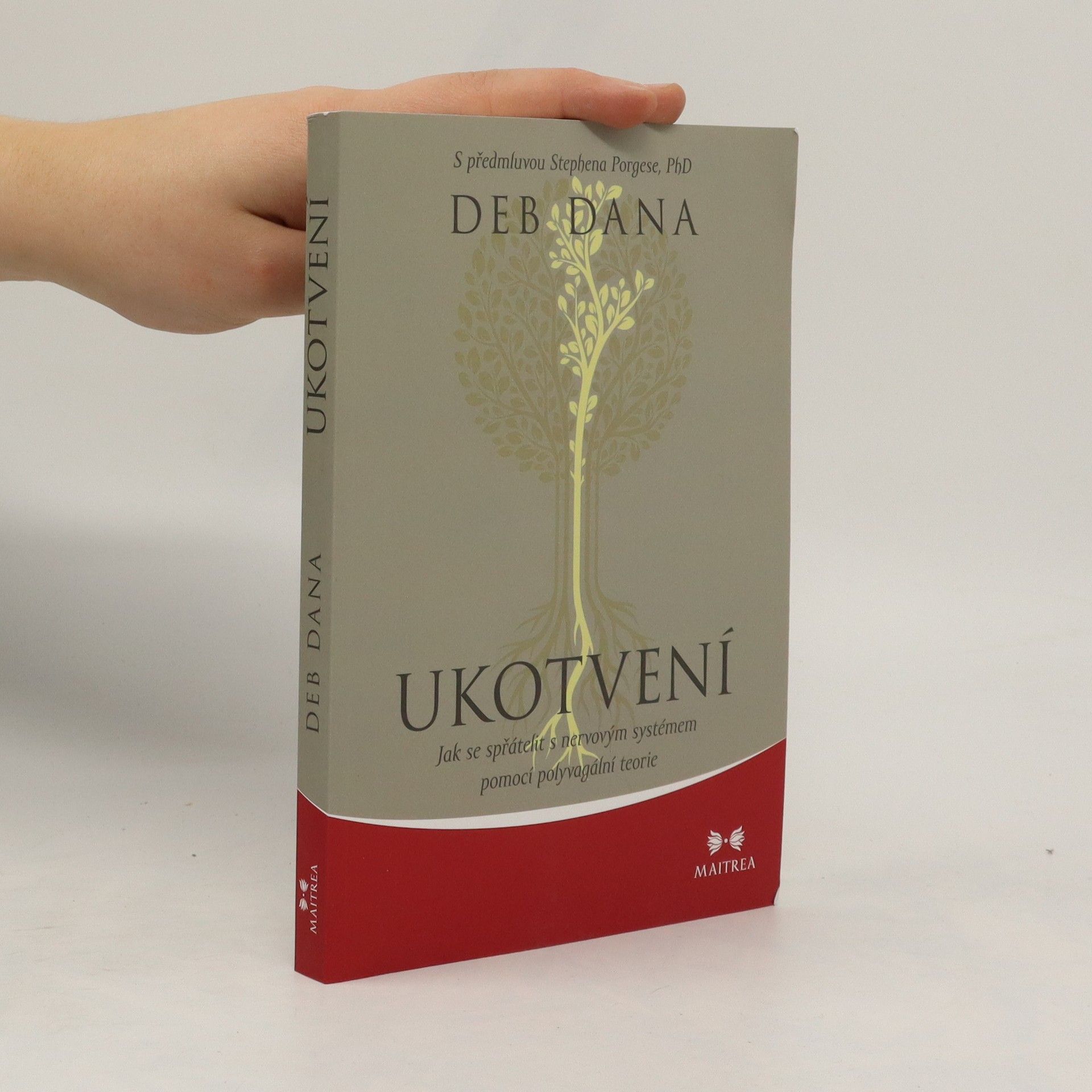 Zdeněk Böhm Ukotvení. Jak se spřátelit s nervovým systémem pomocí polyvagální teorie