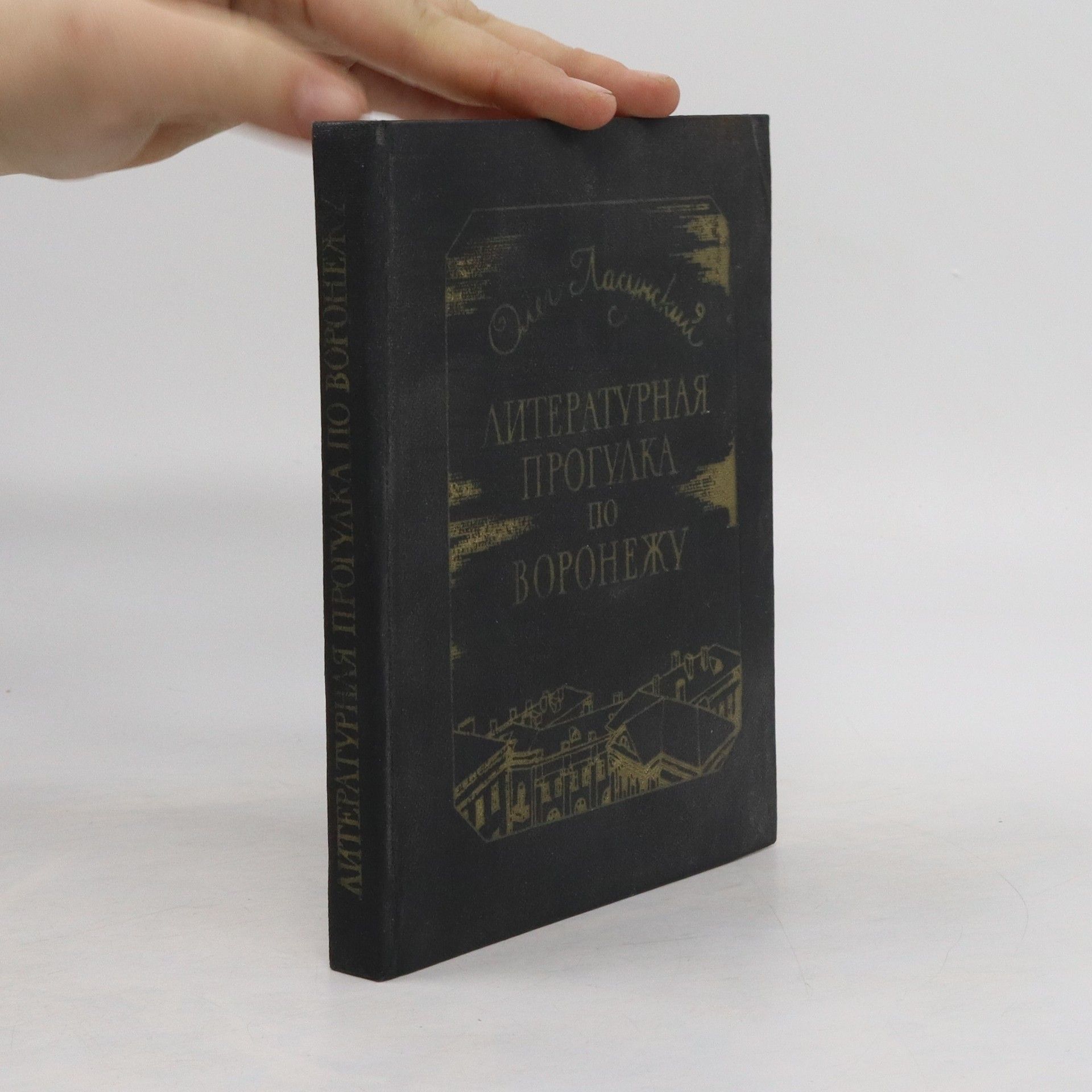 Oleg Lasunsky Литературная прогулка по Воронежу