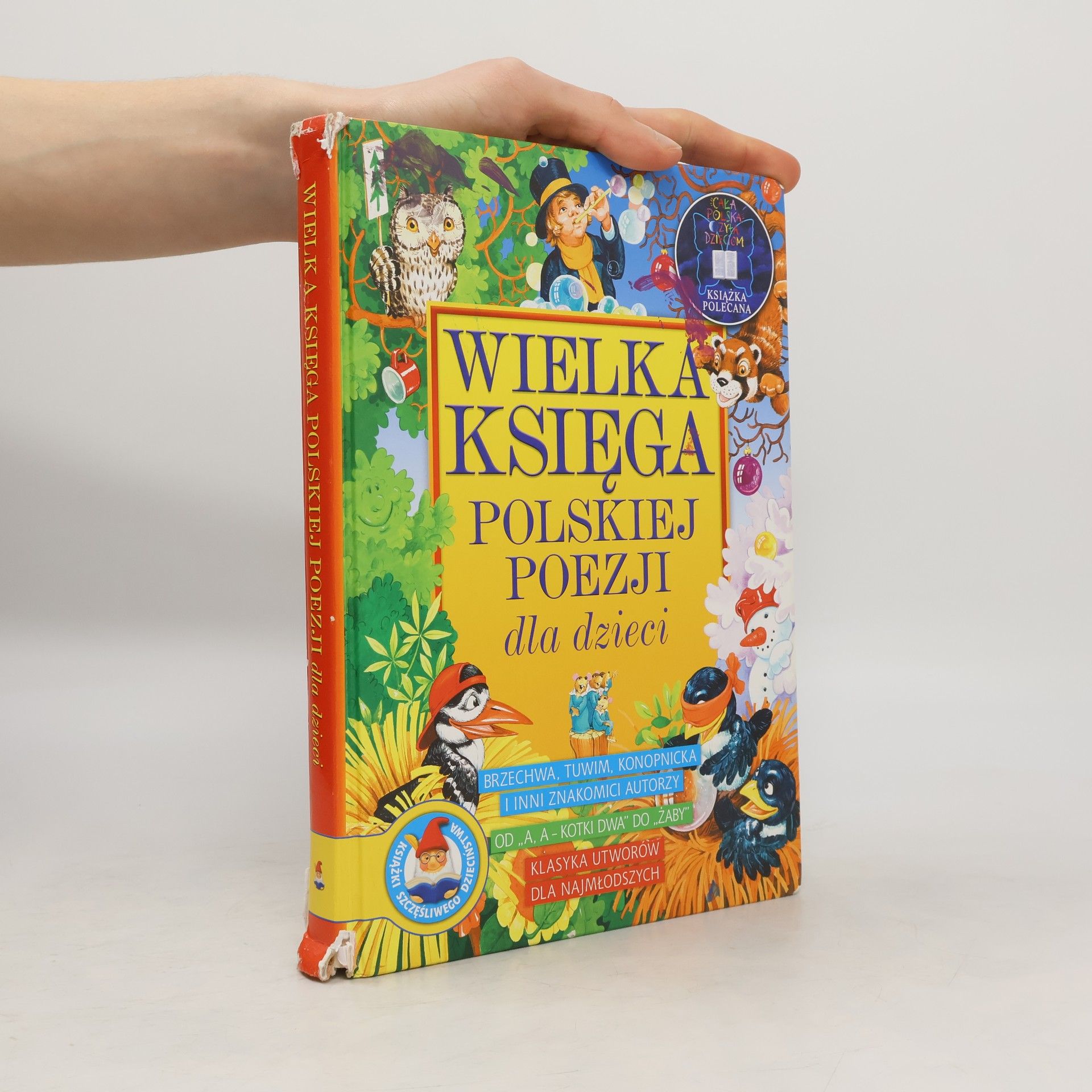 Autorenkollektiv Wielka księga polskiej poezji dla dzieci