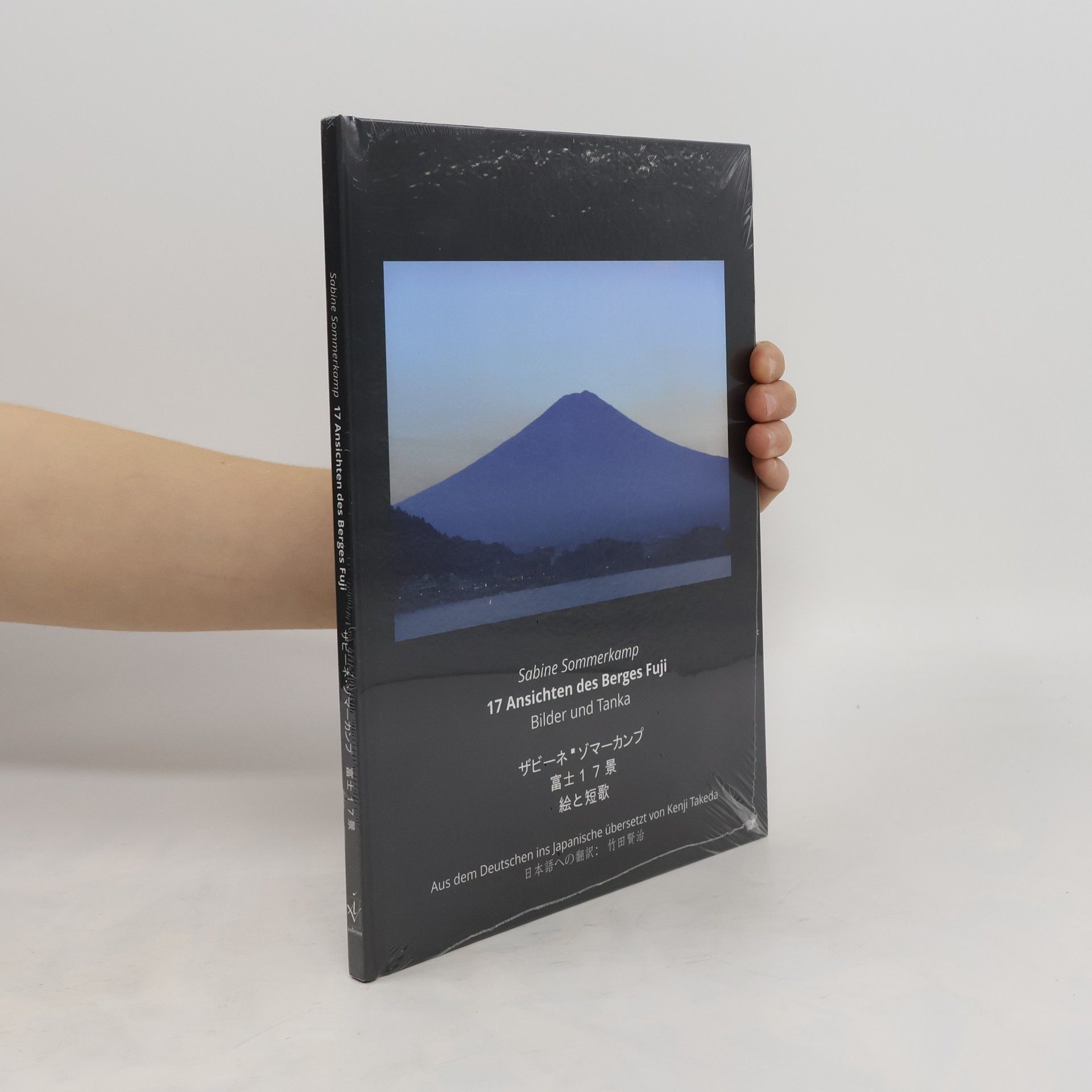 17 Ansichten des Berges Fuji