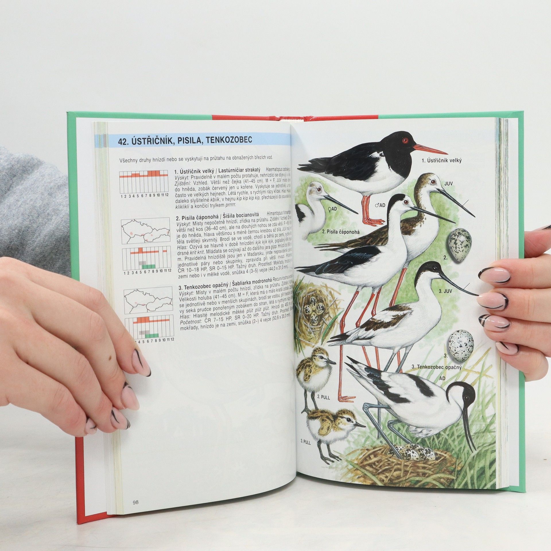 Jan Dungel Atlas ptáků České a Slovenské republiky