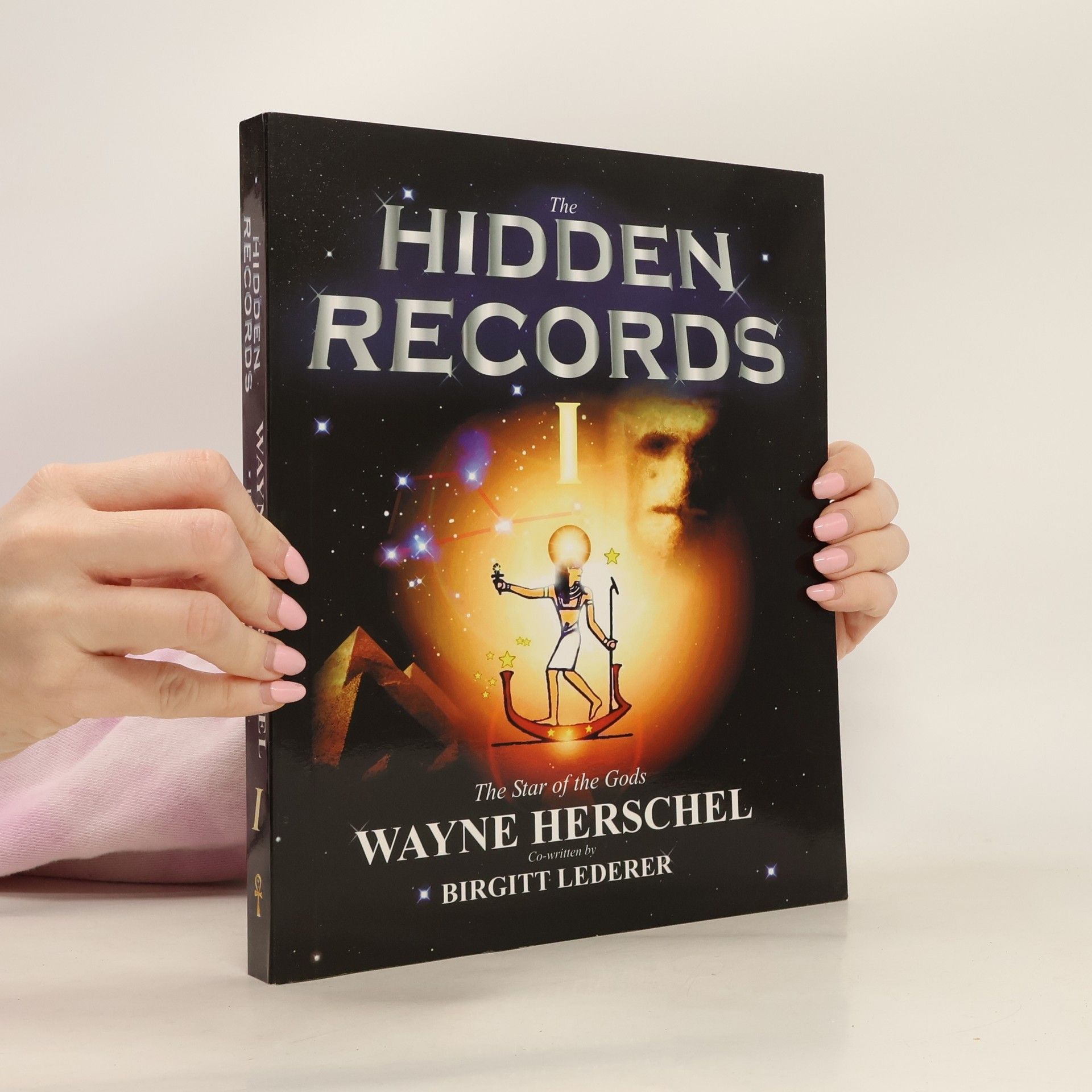 Wayne Herschel The Hidden Records