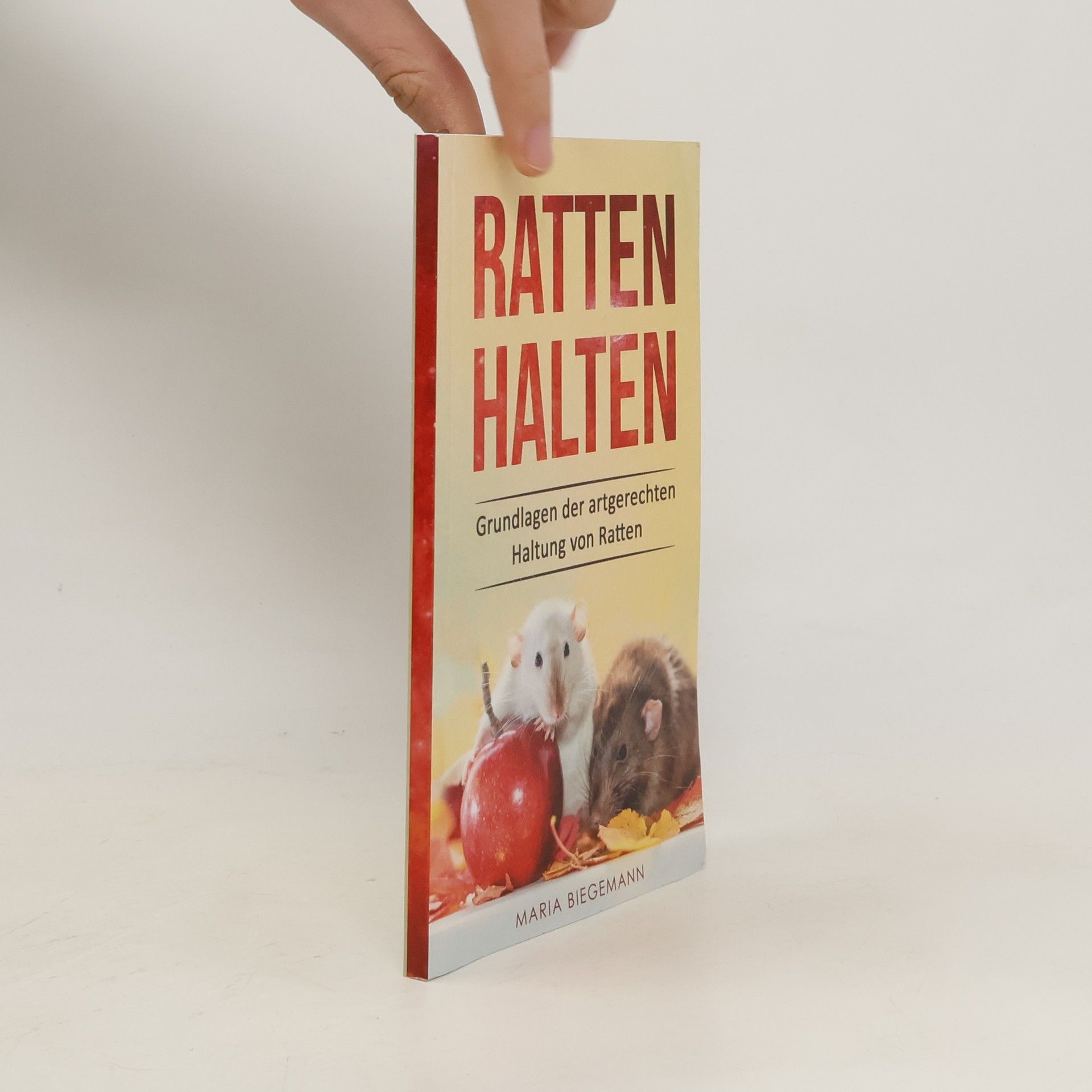 Ratten Halten