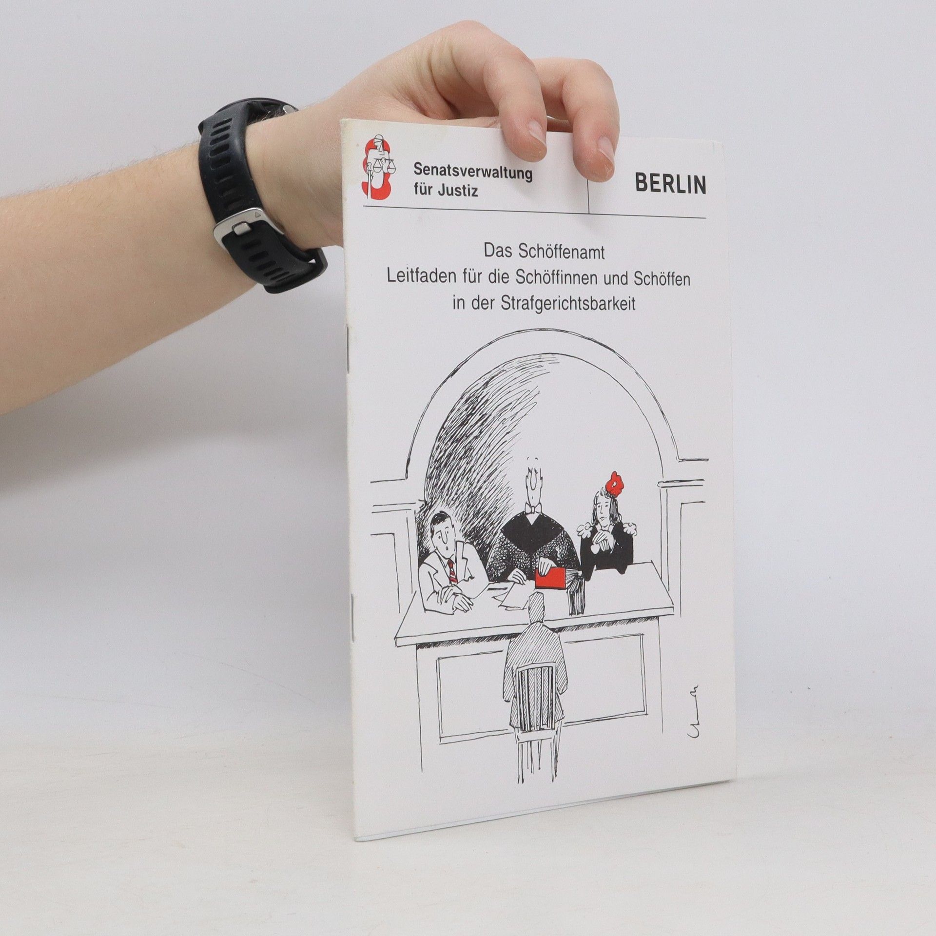 Collectif d'auteurs Das Schöffenamt Leitfaden für die Schöffinnen und Schöffen in der Strafgerichtsbarkeit