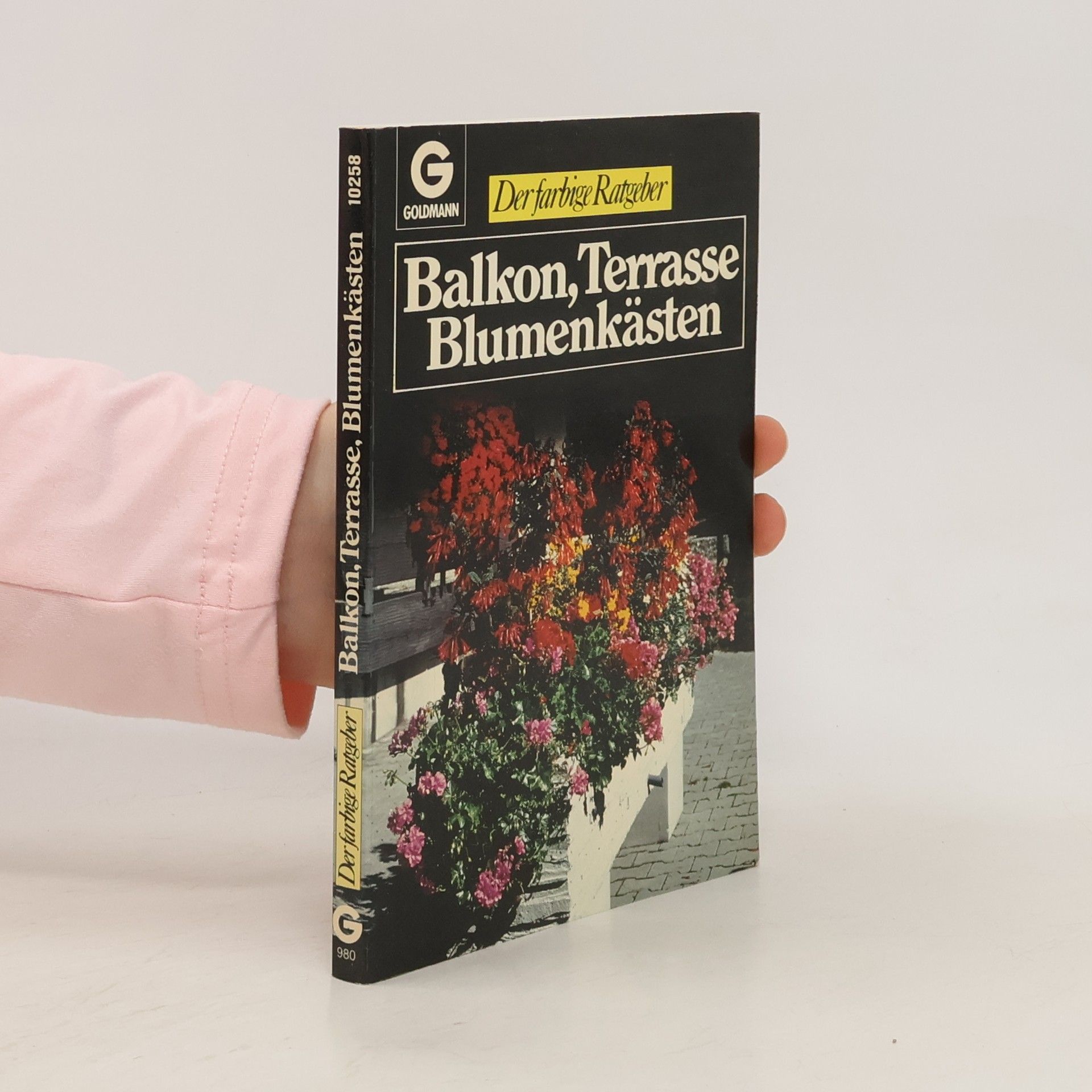 Balkon, Terrasse, Blumenkästen