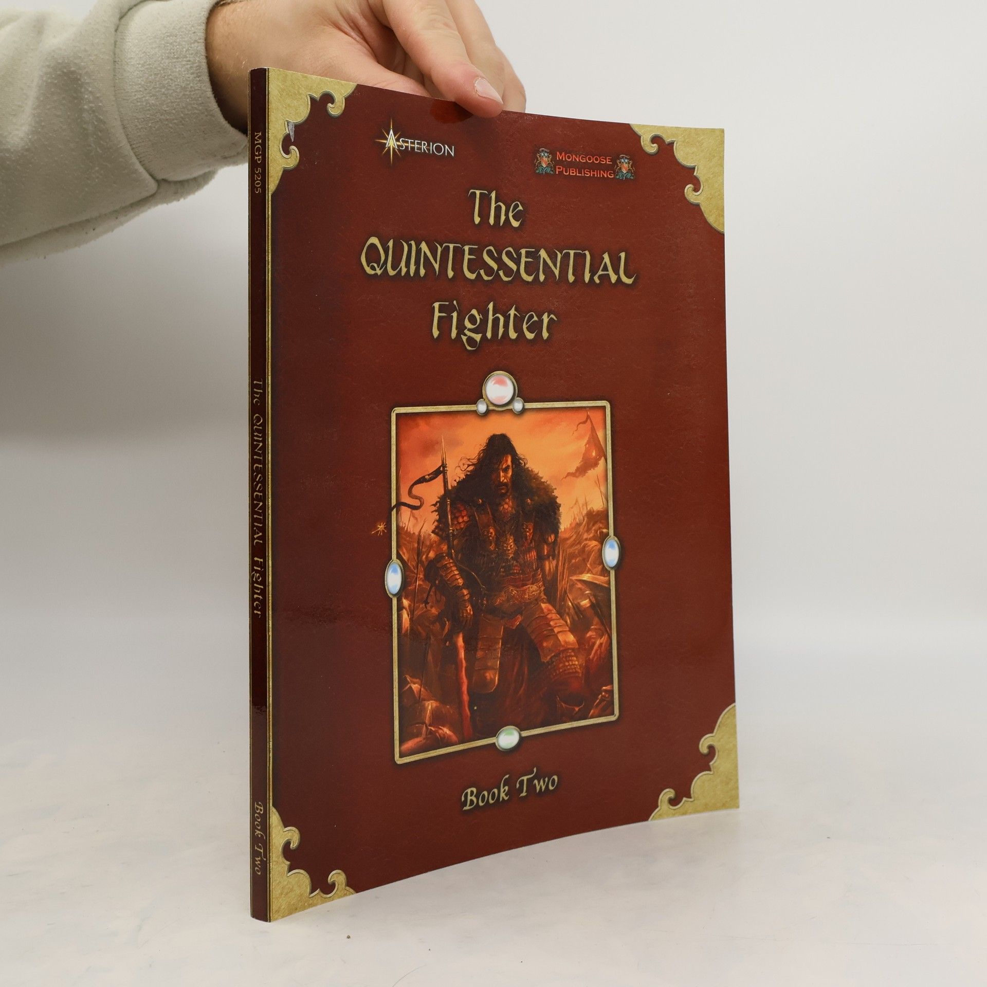 Fabio Passamonti Quintessential Fighter II