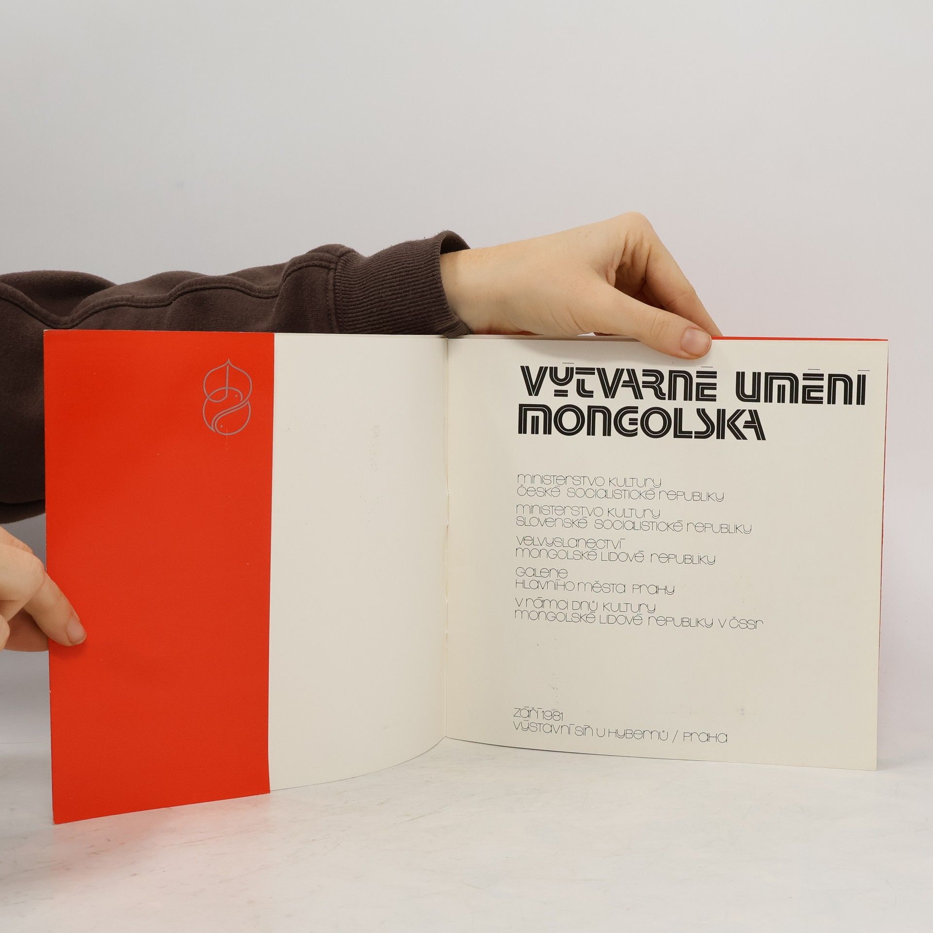 kolektiv Výtvarné umění Mongolska