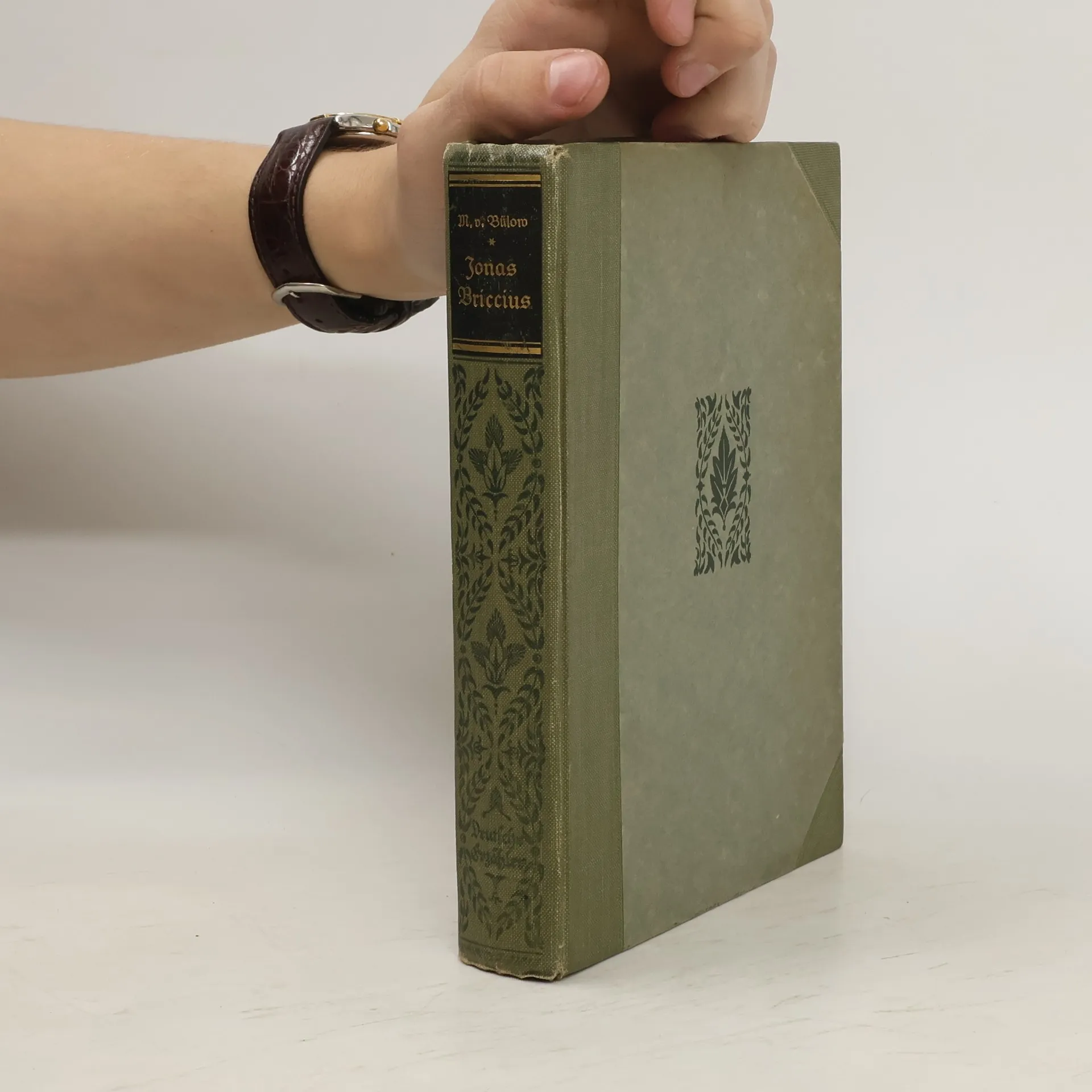 Jonas Briccius und anderes Novellen und Gedichte | Book | Margarethe von Bülow | DE