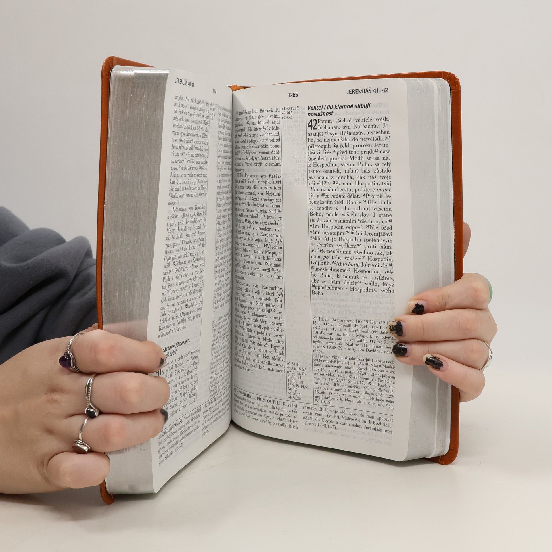 Kolektiv autorů Studijní bible s výkladovými poznámkami