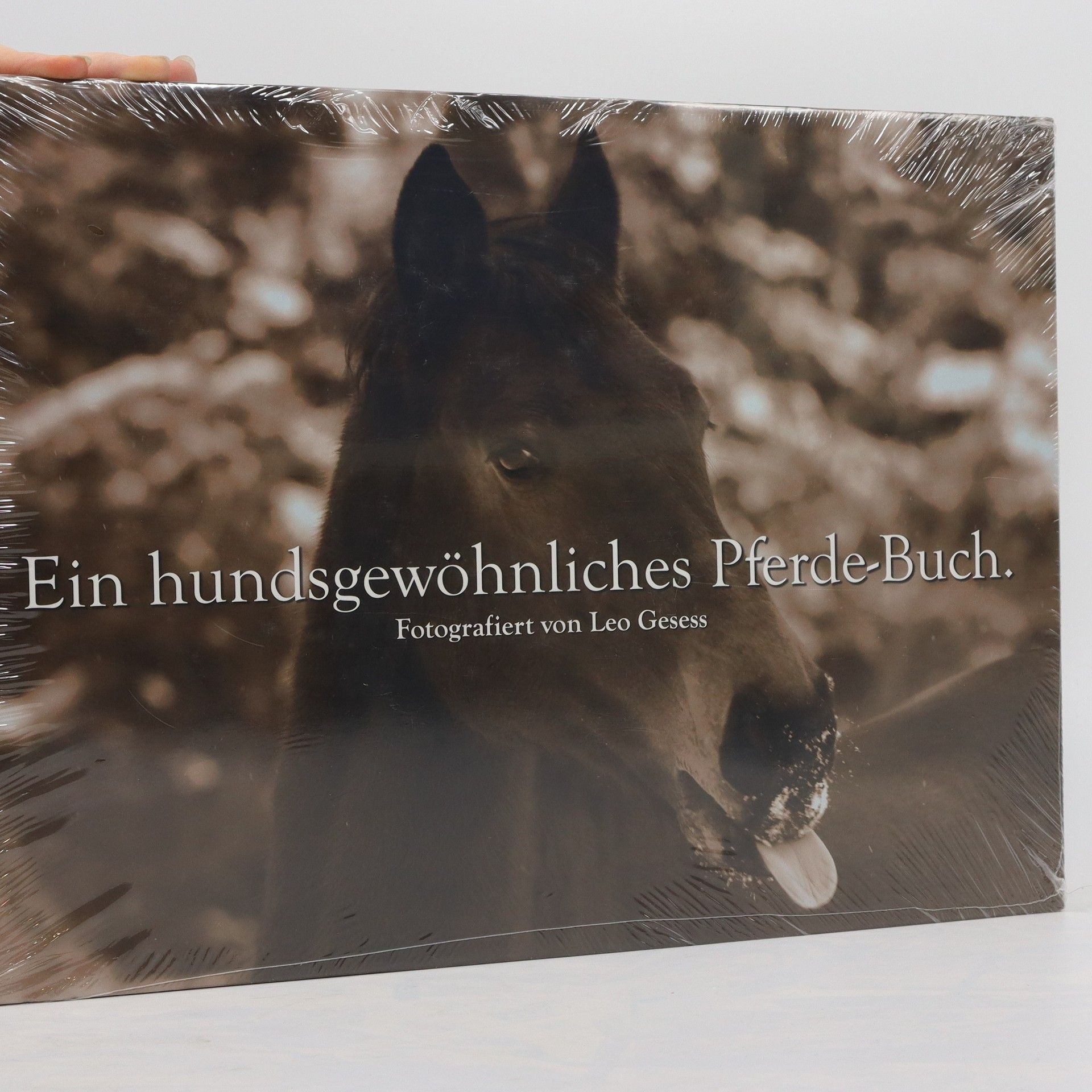 Ein hundsgewöhnliches Pferde-Buch