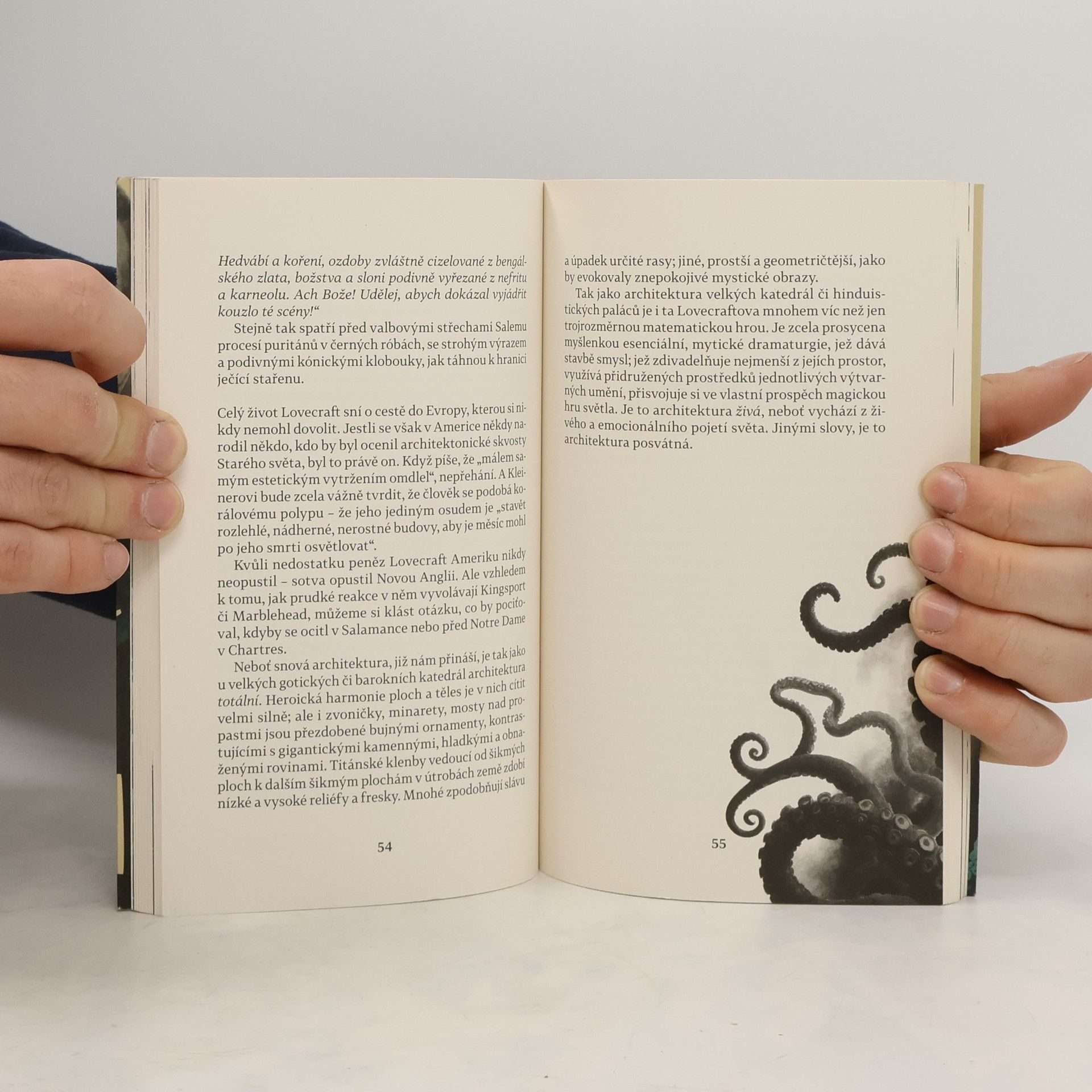 Michel Houellebecq H. P. Lovecraft Proti světu, proti životu
