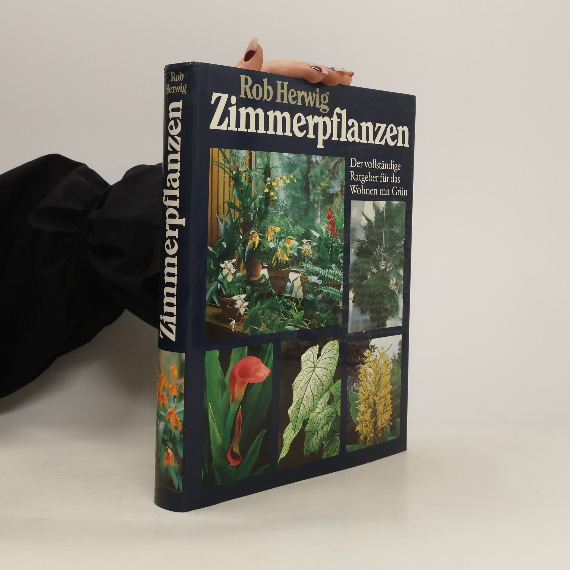 Rob Hewig Zimmerpflanzen