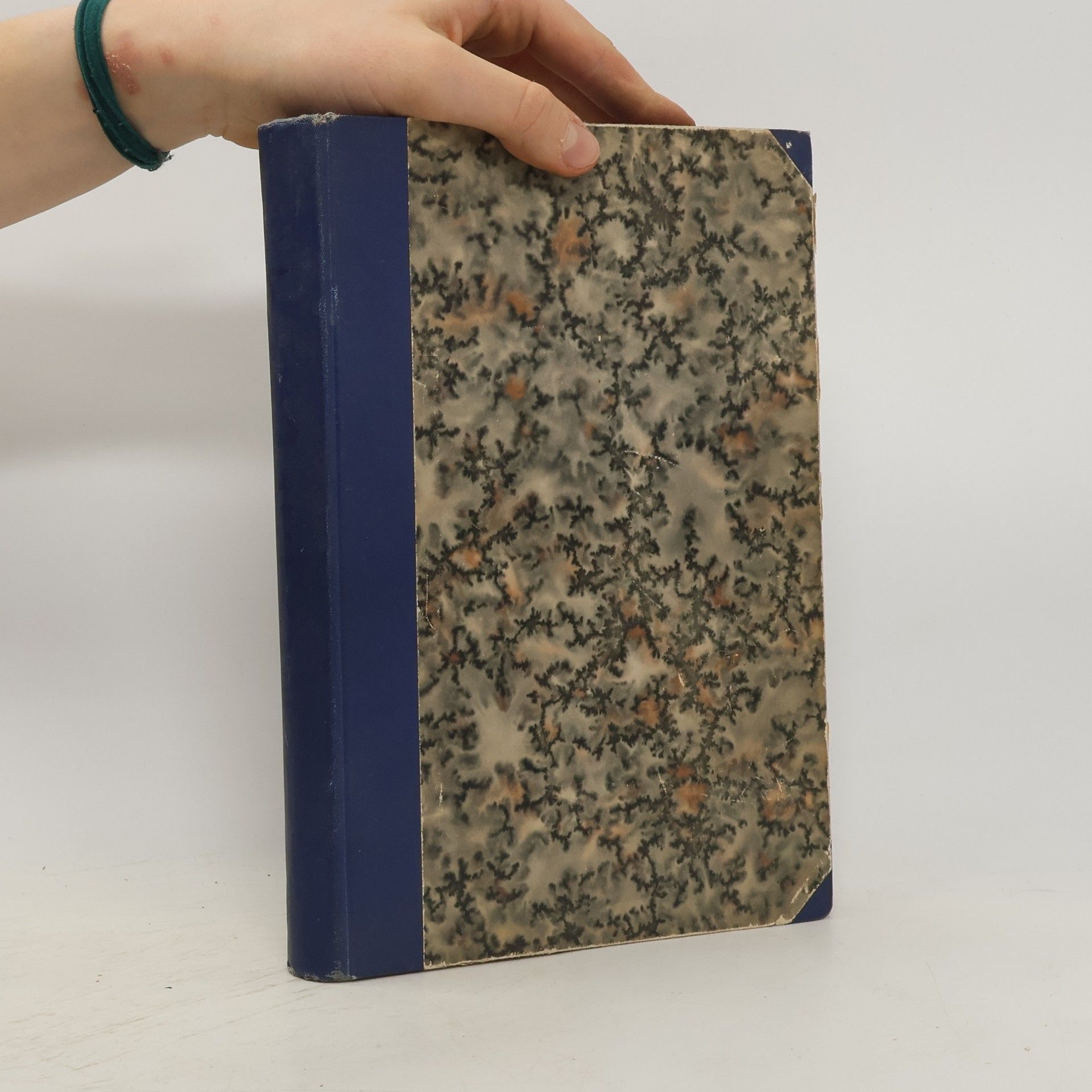 Collectif d'auteurs The Citroen Trans-Asiatic Expedition Reaches Kashmir