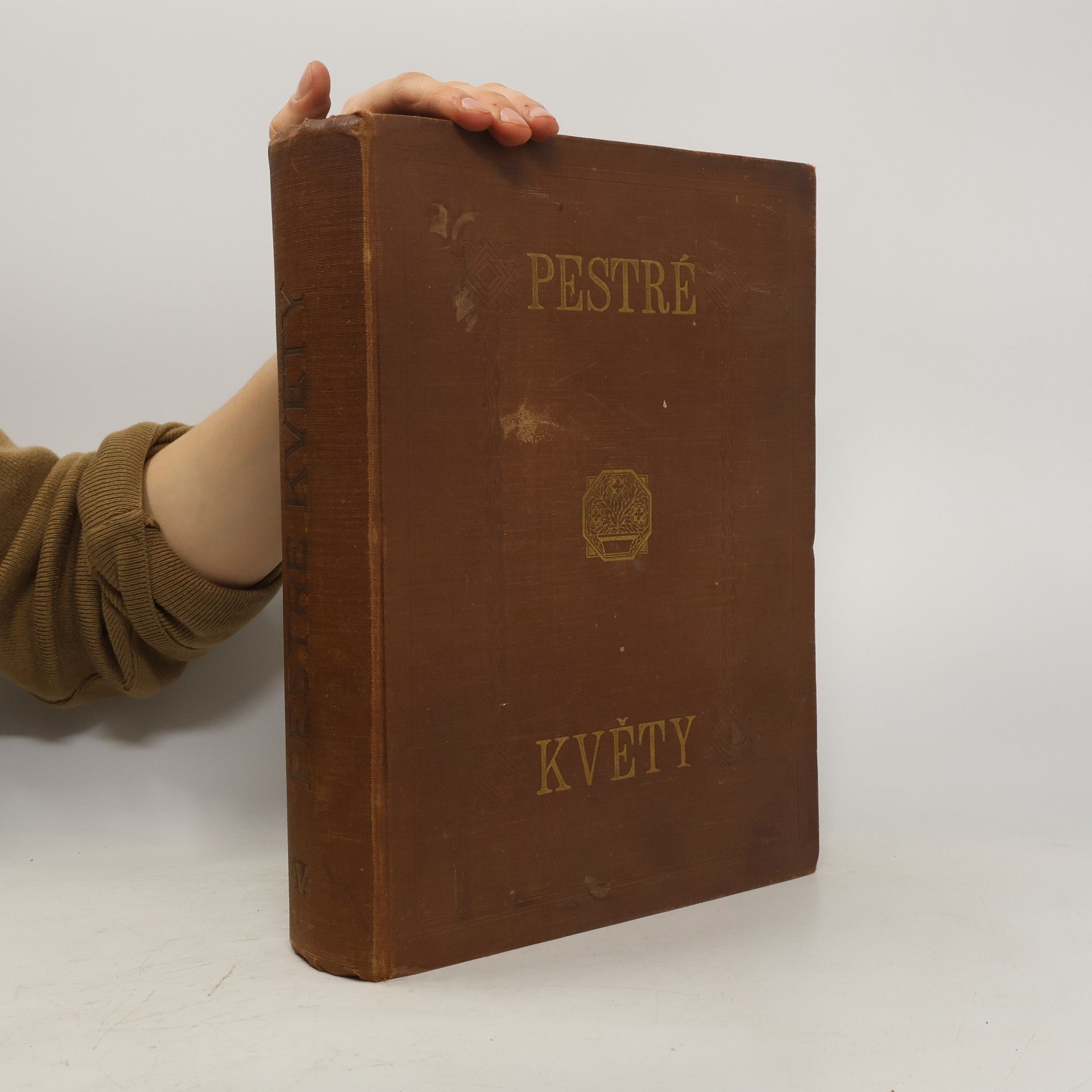 Auteurscollectief Pestré květy V.