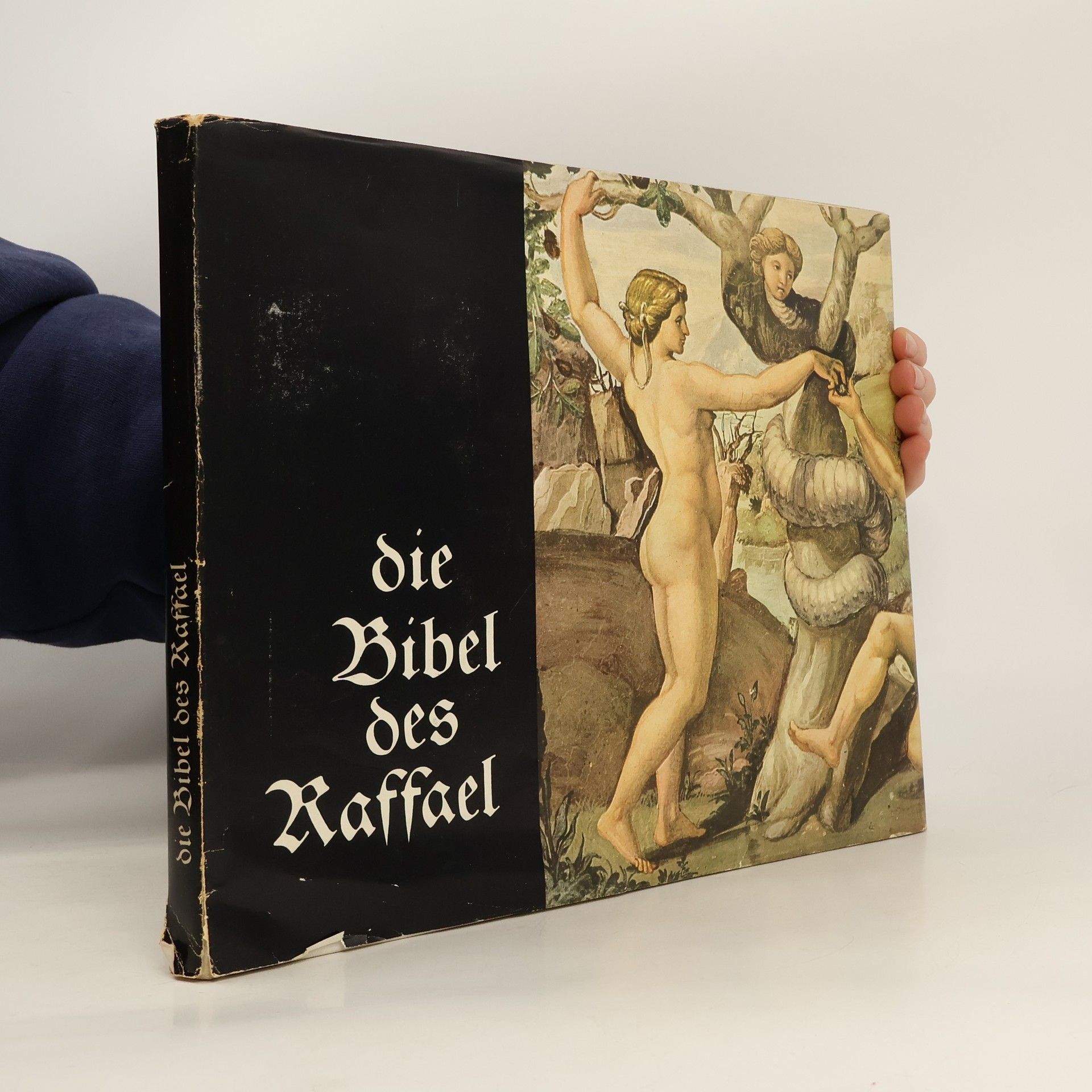 Autorenkollektiv Die Bibel des Raffael