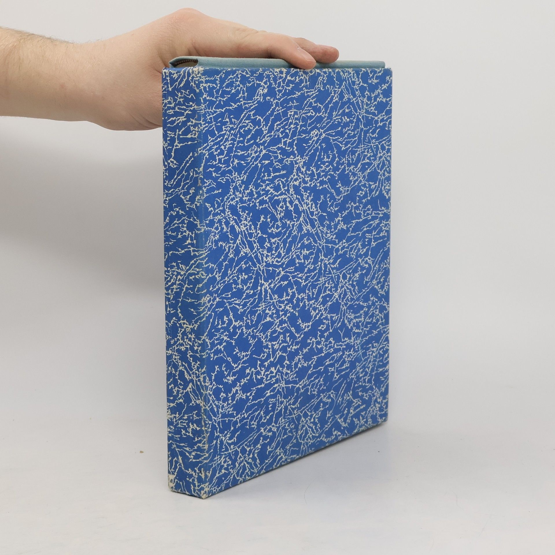 Collectif d'auteurs Mluvíme francouzsky