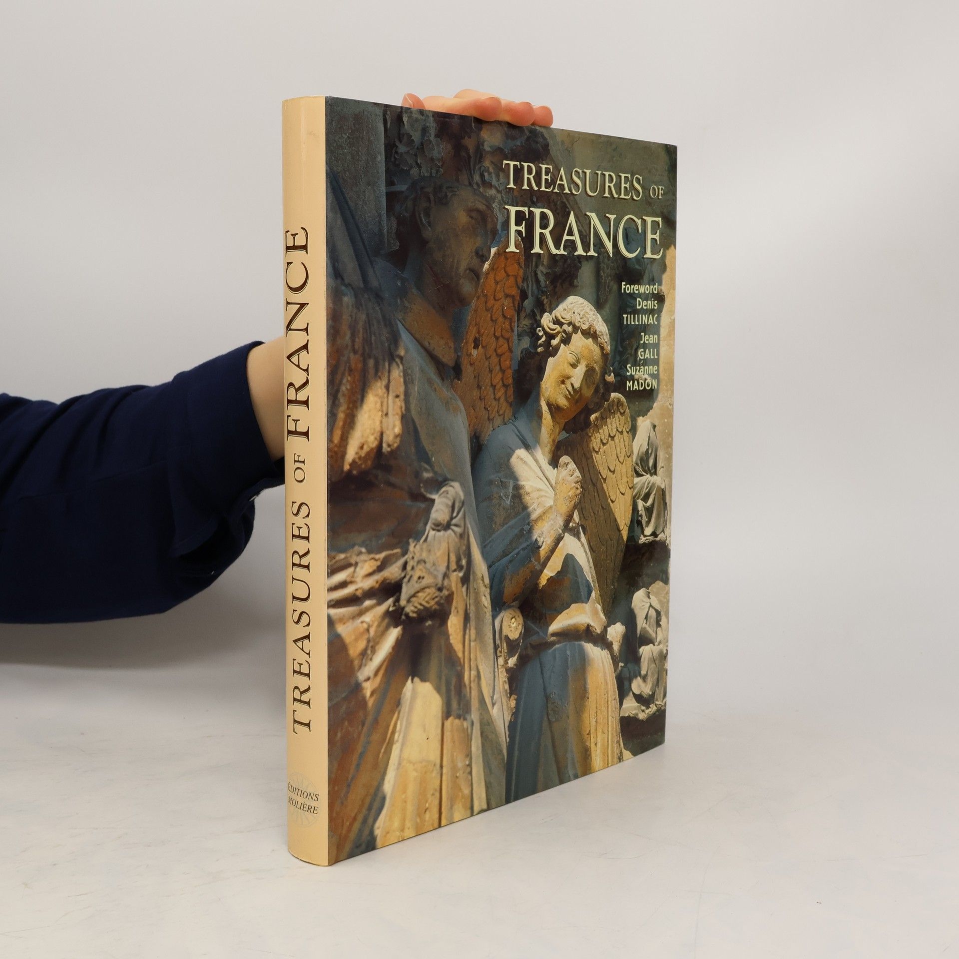 Collectif d'auteurs Treasures of France