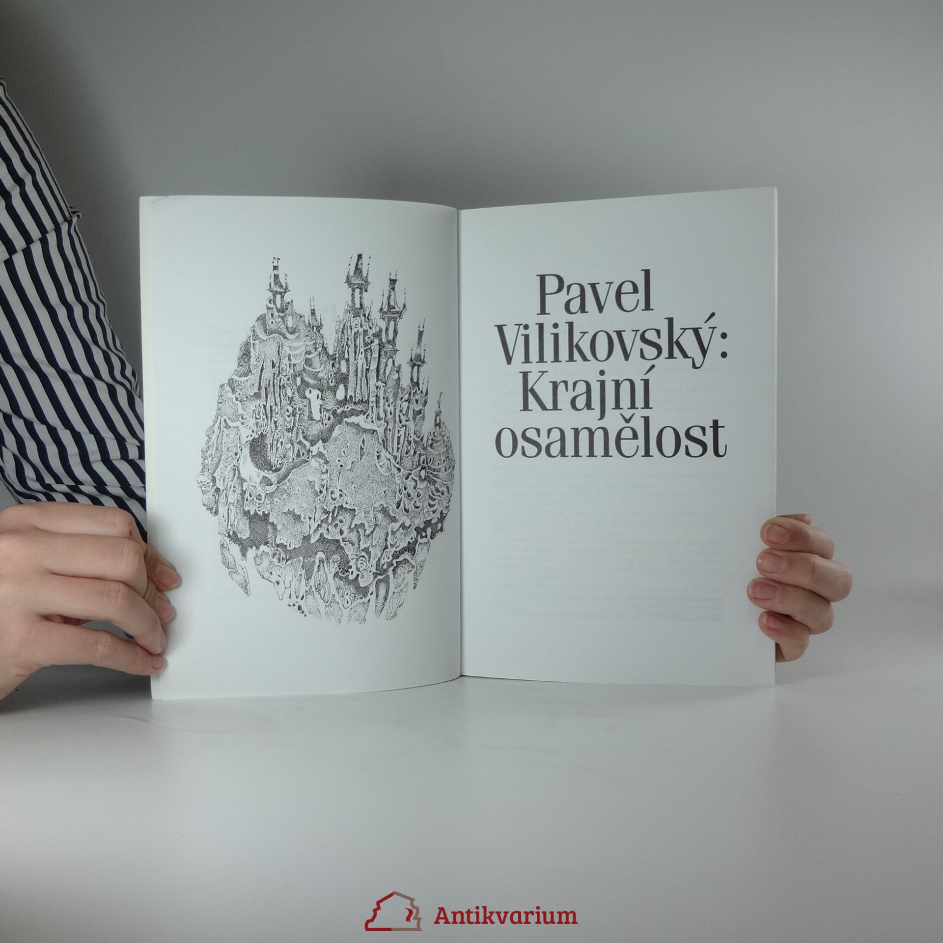 Pavel Vilikovský Krajní osamělost