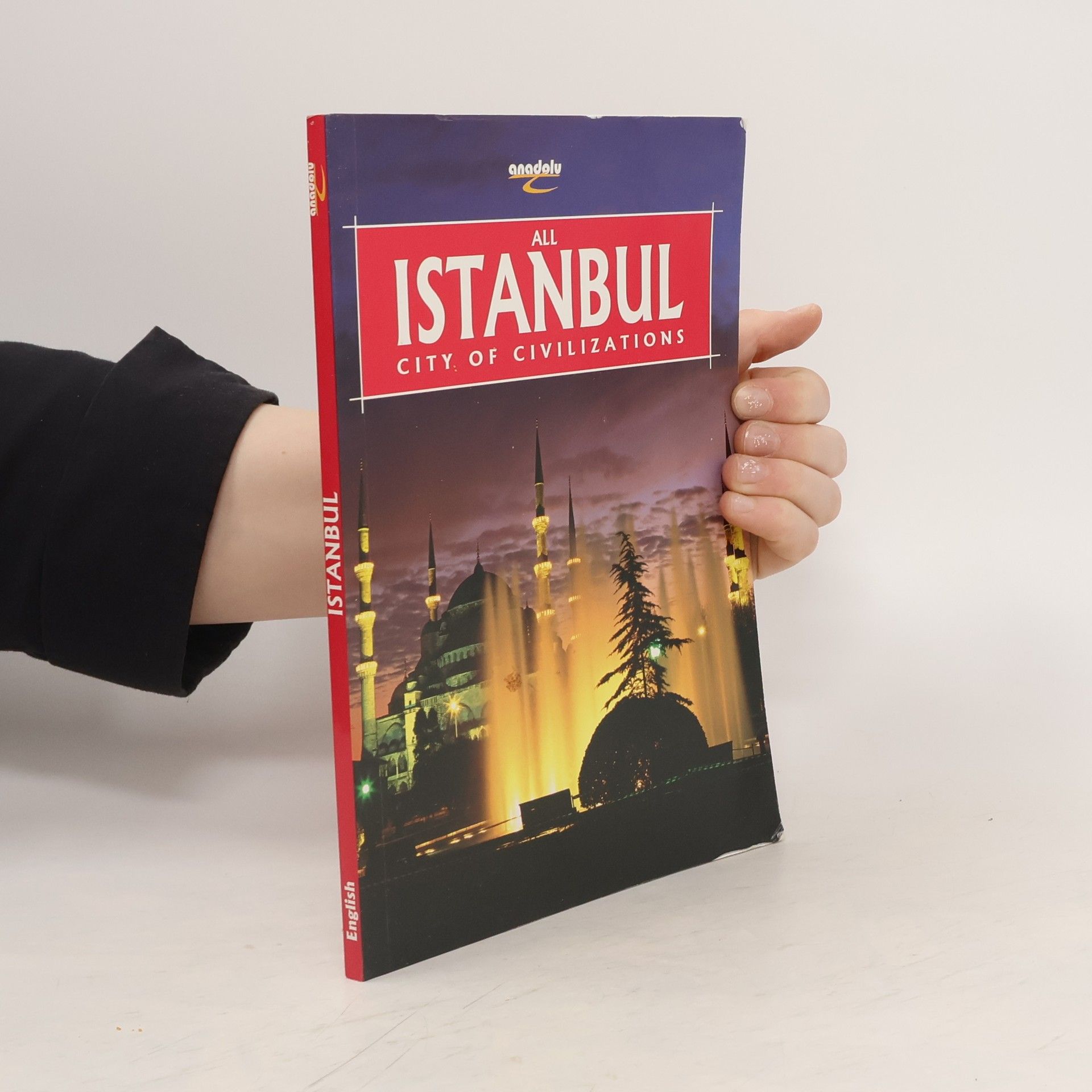 Collectif d'auteurs Istanbul