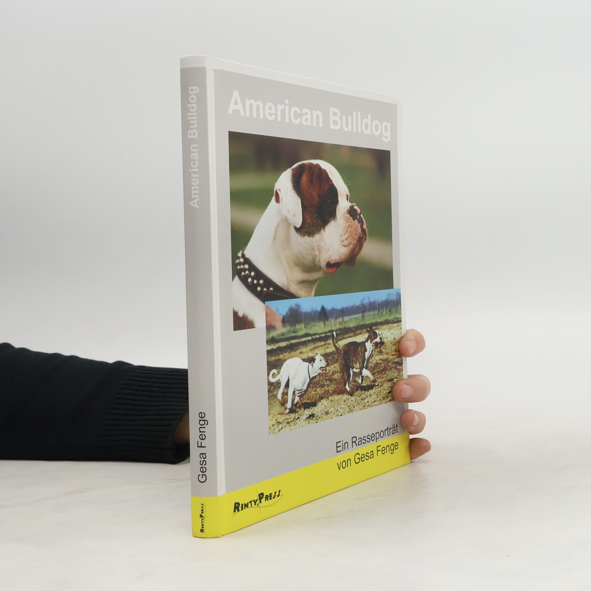 Gesa Fenge American Bulldog