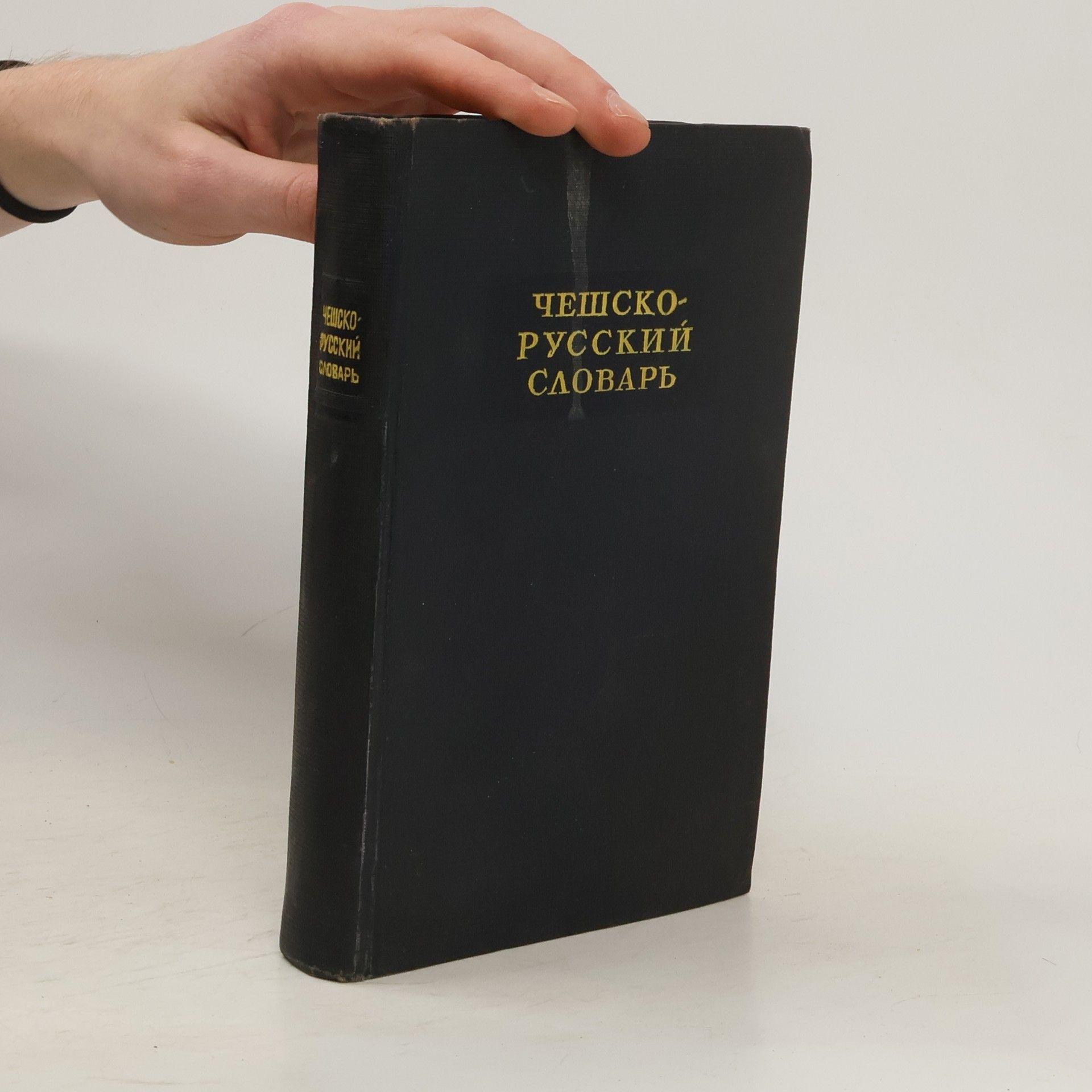 Autorenkollektiv Чешско-русский словарь