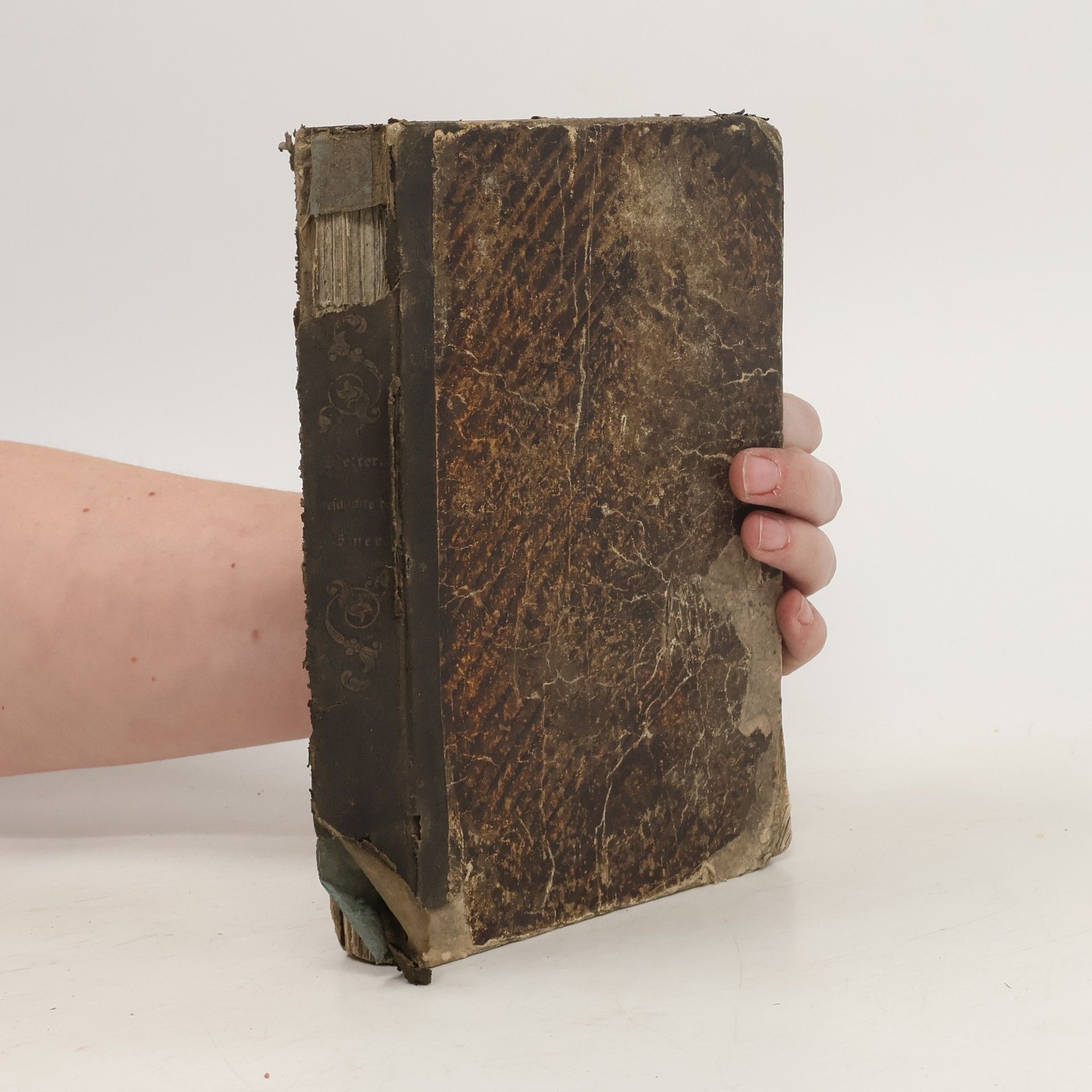 Th. B. Welter Geschichte der Römer