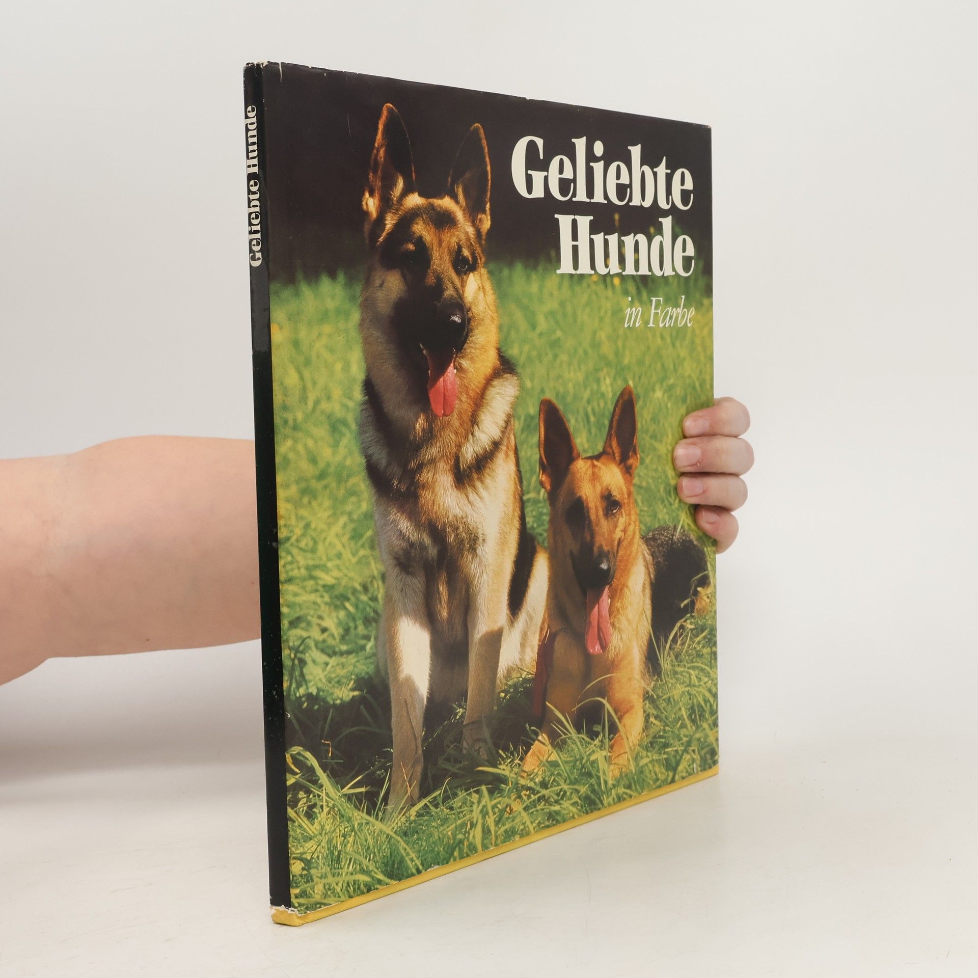 Autorenkollektiv Geliebte Hunde in Farbe