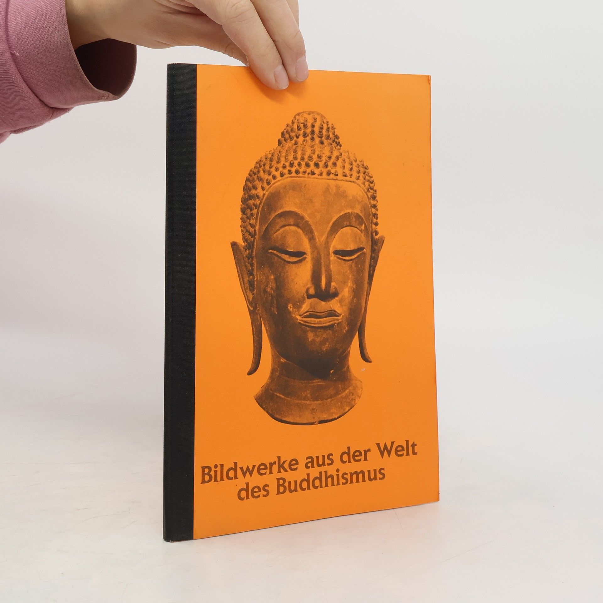 Kolektív autorov Bildwerke aus der Welt des Buddhismus