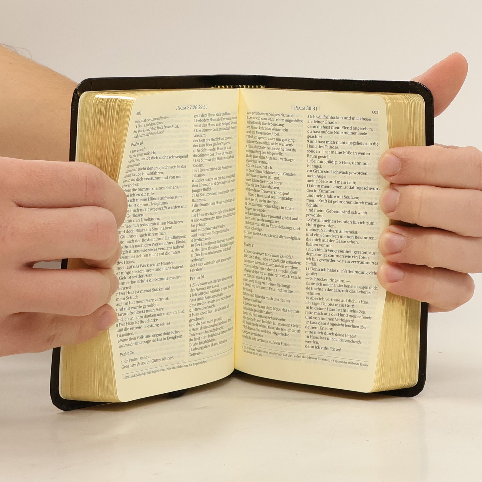 Autorenkollektiv Die Bibel