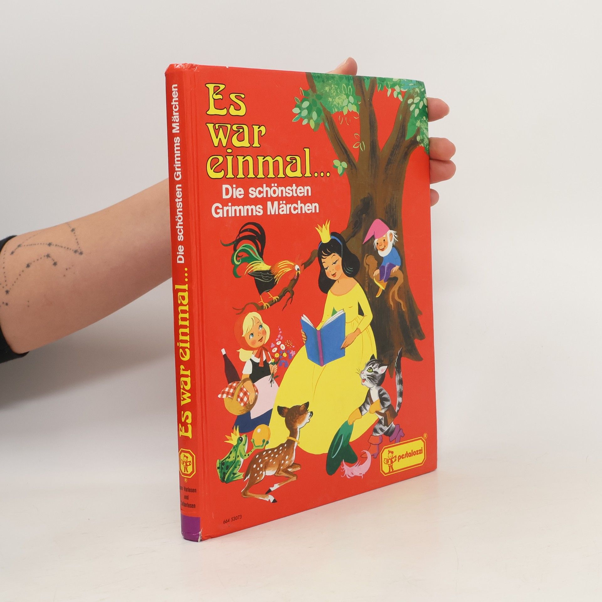 Collectif d'auteurs Mein großer Märchenschatz