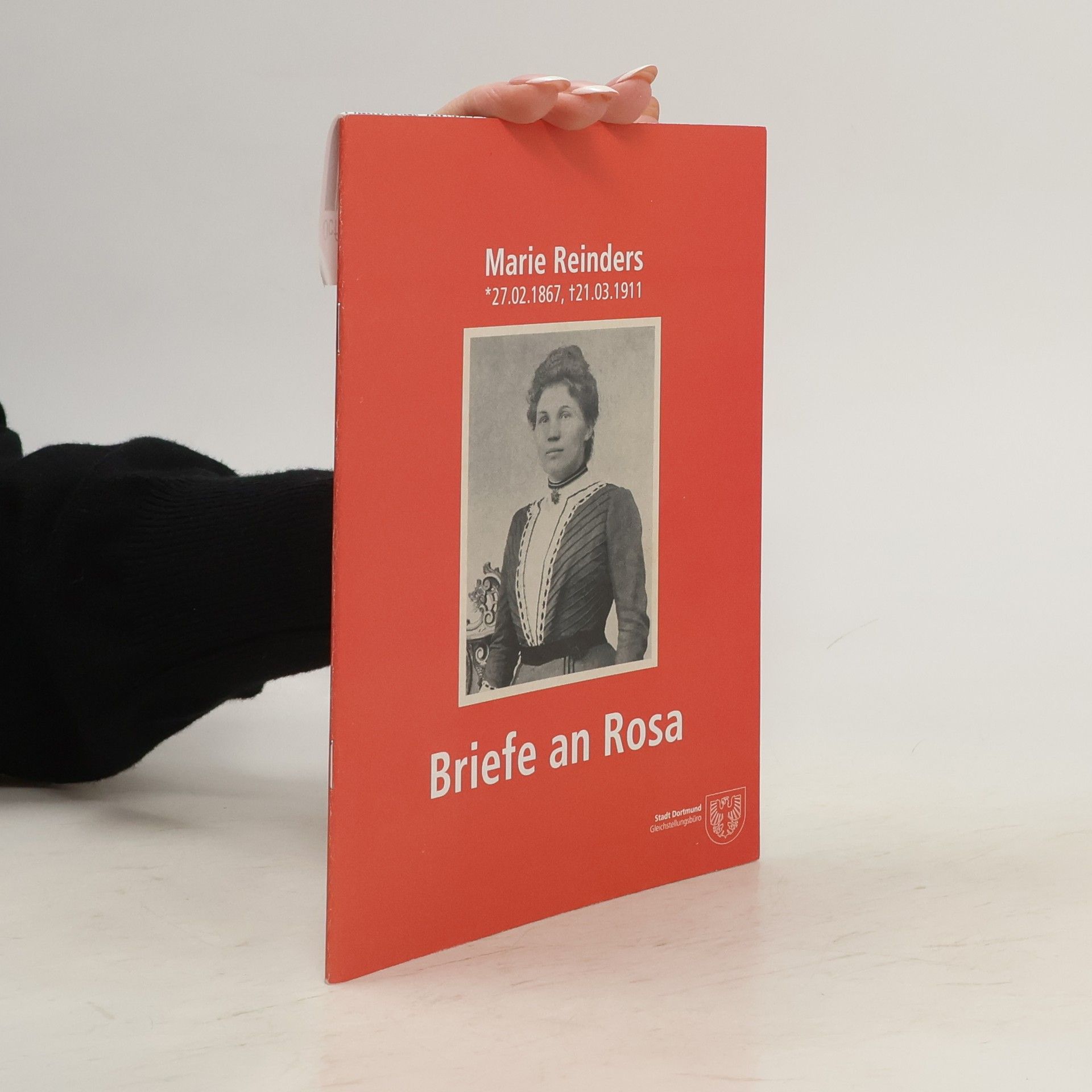 Autorenkollektiv Briefe an Rosa. Maria Reinders