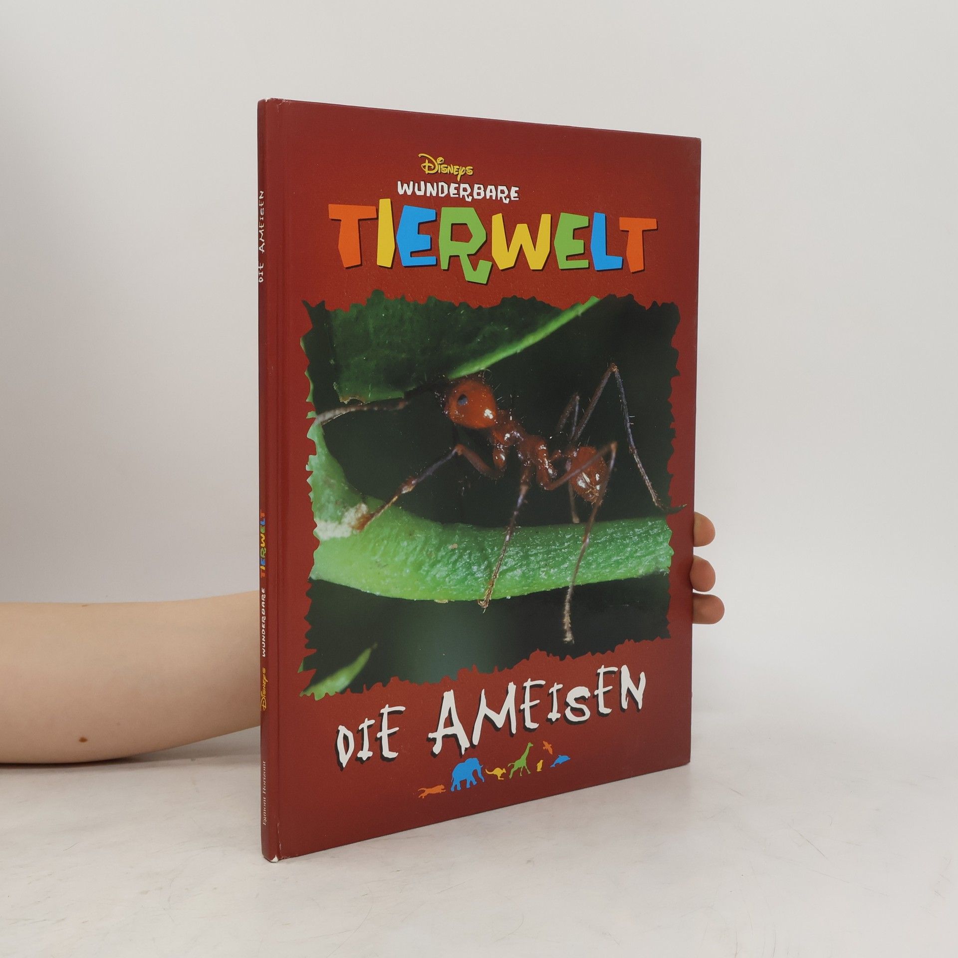 kolektiv Tierwelt. Die Ameisen
