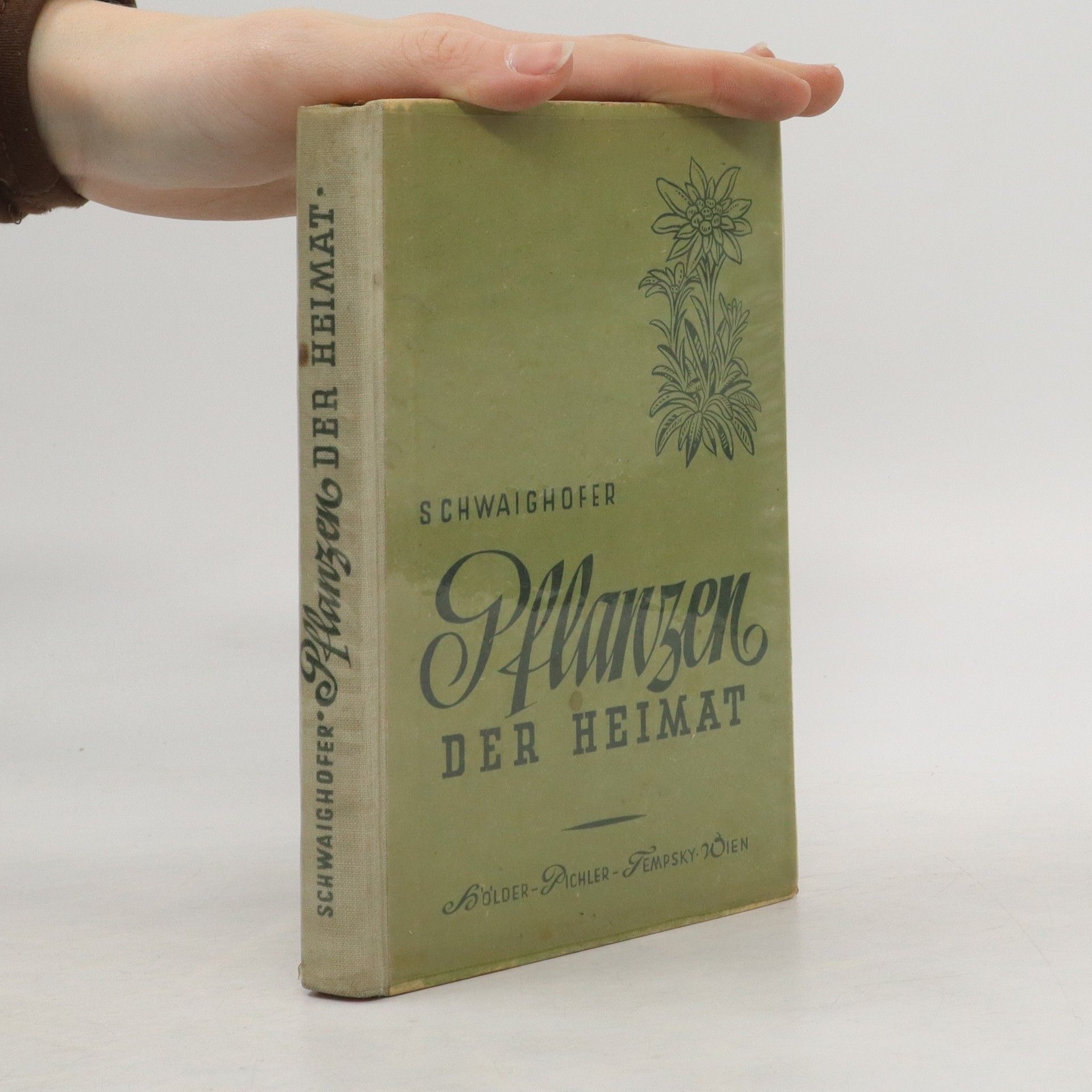 Collectif d'auteurs Pflanzen der heimat