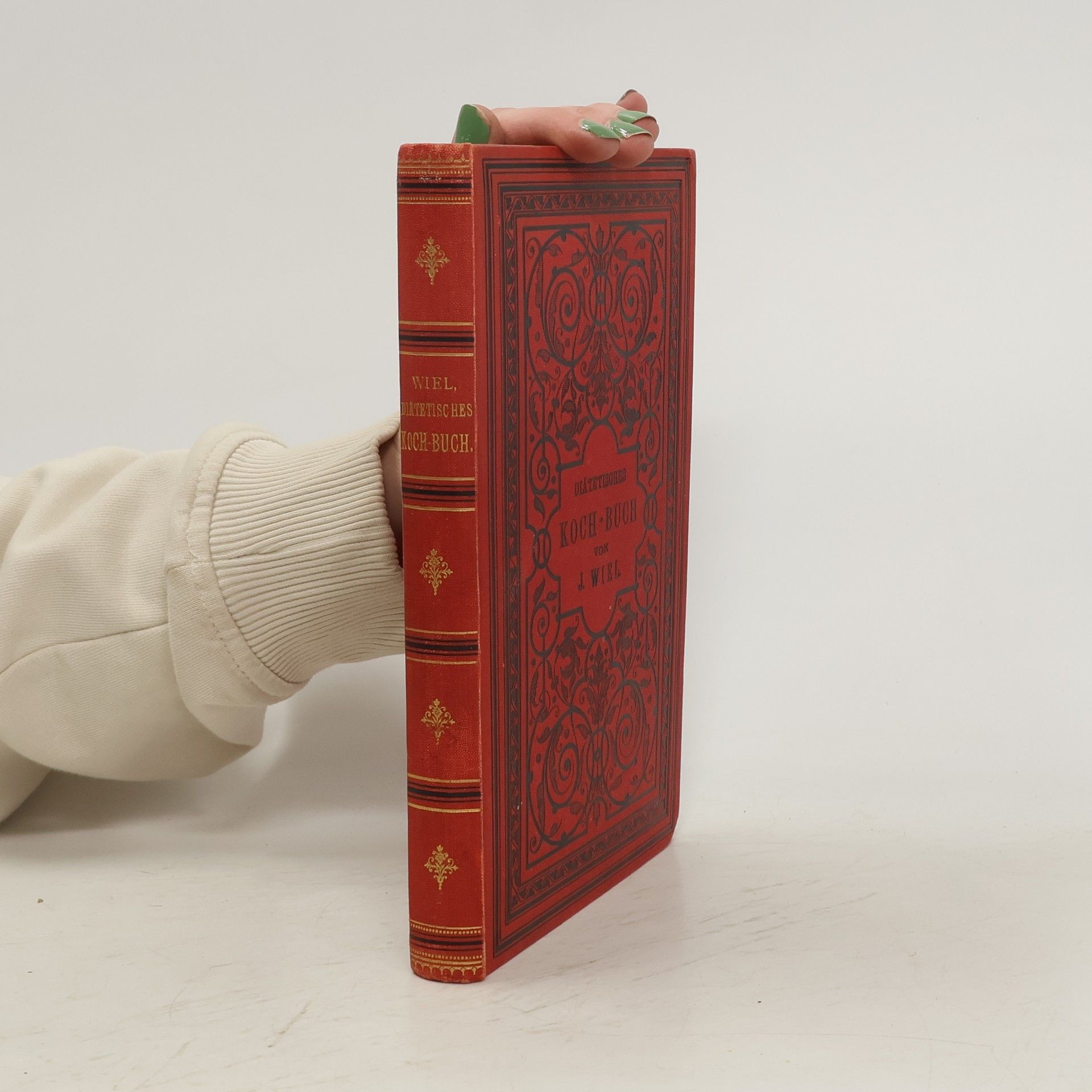 Joseph Wiel Koch - Buch