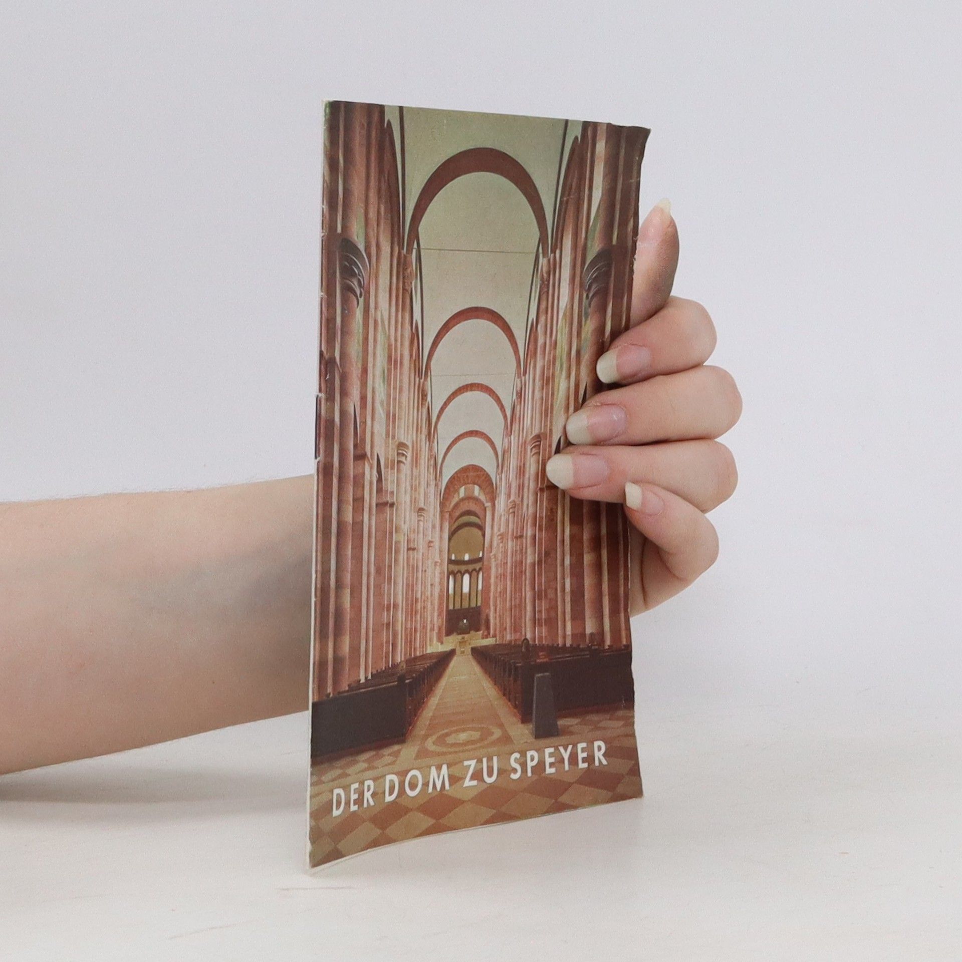 Collectif d'auteurs Der dom zu Speyer