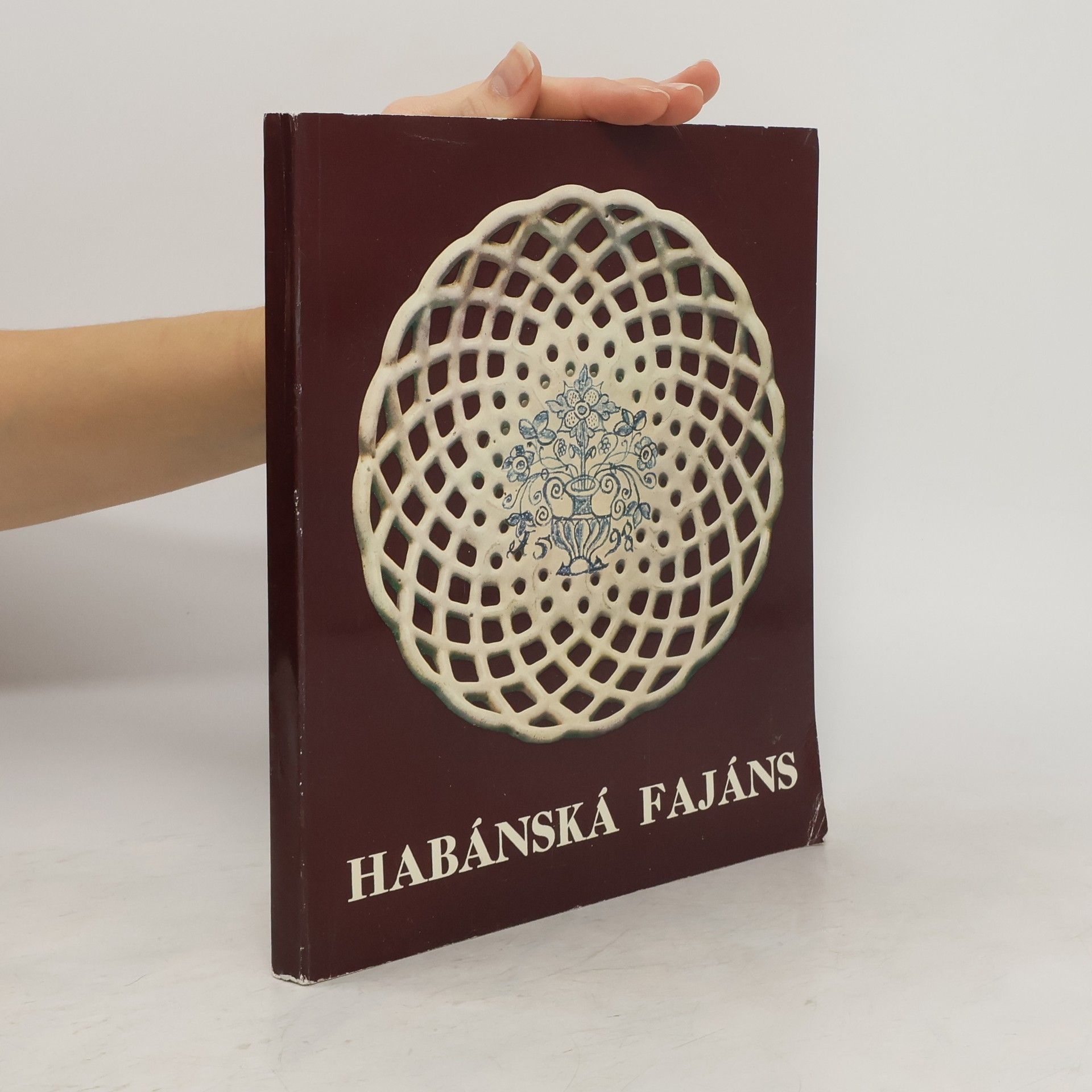 AA.VV. Habánská fajáns