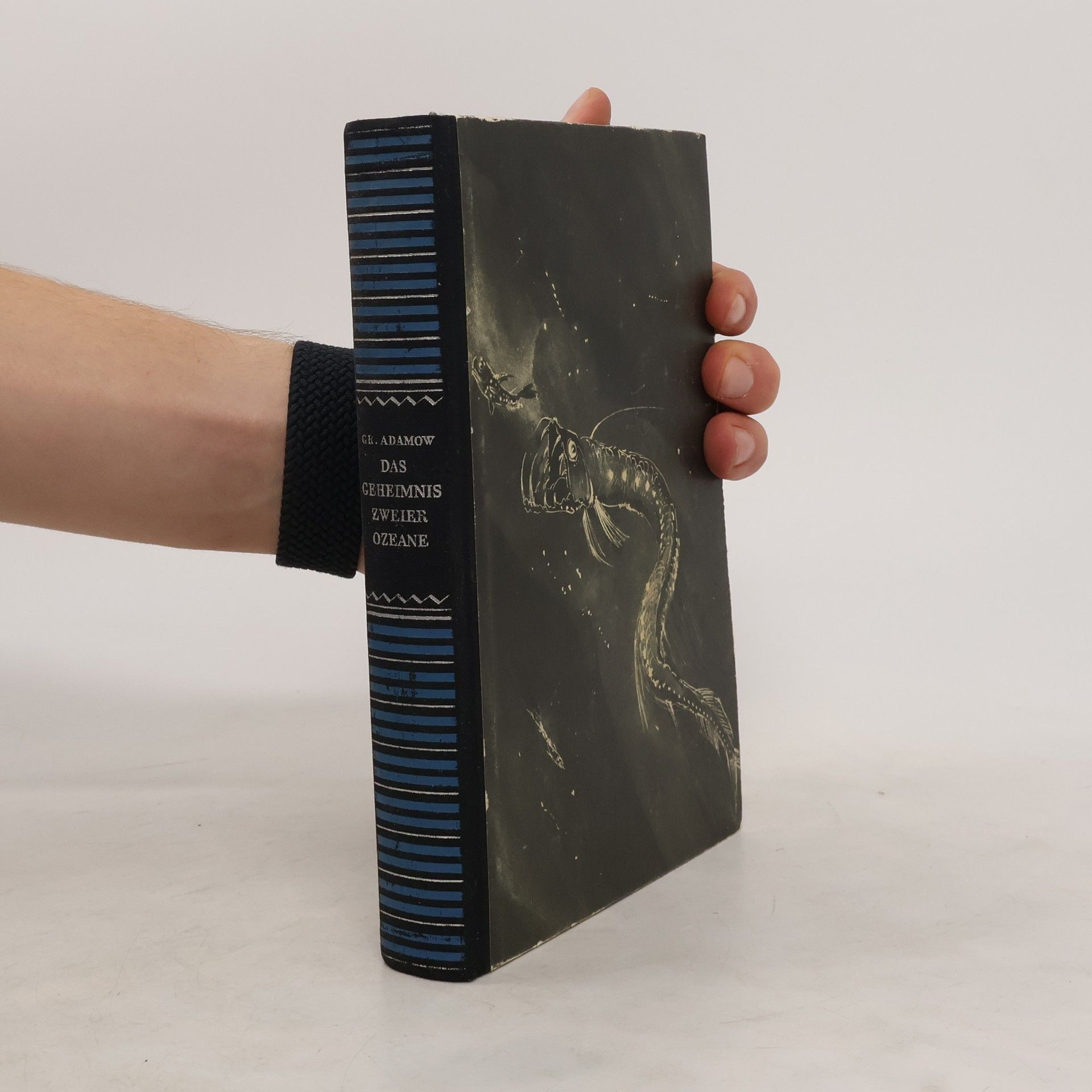 Das Geheimnis zweier Ozeane